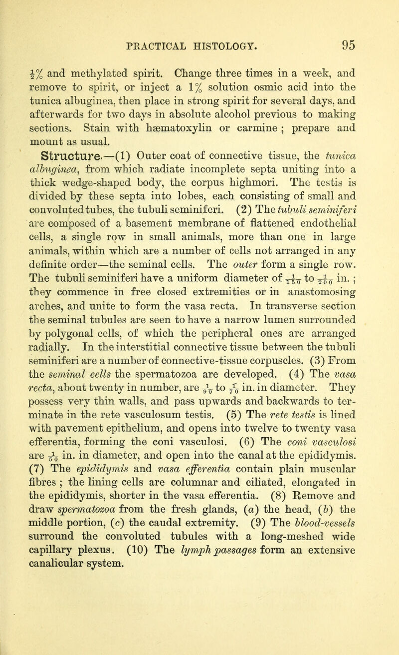 i% and methylated spirit. Change three times in a week, and remove to spirit, or inject a 1% solution osmic acid into the tunica albuginea, then place in strong spirit for several days, and afterwards for two days in absolute alcohol previous to making sections. Stain with haematoxylin or carmine ; prepare and mount as usual. Structure.—(1) Outer coat of connective tissue, the tunica albuginea^ from which radiate incomplete septa uniting into a thick wedge-shaped body, the corpus highmori. The testis is divided by these septa into lobes, each consisting of small and convoluted tubes, the tubuli seminiferi. (2) The tuhuli seminiferi are composed of a basement membrane of flattened endothelial cells, a single row in small animals, more than one in large animals, within which are a number of cells not arranged in any definite order—the seminal cells. The outer form a single row. The tubuli seminiferi have a uniform diameter of to 2^15- in. ; they commence in free closed extremities or in anastomosing arches, and unite to form the vasa recta. In transverse section the seminal tubules are seen to have a narrow lumen surrounded by polygonal cells, of which the peripheral ones are arranged radially. In the interstitial connective tissue between the tubuli seminiferi are a number of connective-tissue corpuscles. (3) From the seminal cells the spermatozoa are developed. (4) The vasa recta^ about twenty in number, are to yV i^- diameter. They possess very thin walls, and pass upwards and backwards to ter- minate in the rete vasculosum testis. (5) The rete testis is lined with pavement epithelium, and opens into twelve to twenty vasa efferentia, forming the coni vasculosi. (6) The coni vasculosi are gV in. in diameter, and open into the canal at the epididymis. (7) The epididymis and vasa efferentia contain plain muscular fibres ; the lining cells are columnar and ciliated, elongated in the epididymis, shorter in the vasa efferentia. (8) Remove and draw spermatozoa from the fresh glands, (a) the head, (b) the middle portion, (c) the caudal extremity. (9) The blood-vessels surround the convoluted tubules with a long-meshed wide capillary plexus. (10) The lymph passages foam an extensive canalicular system.