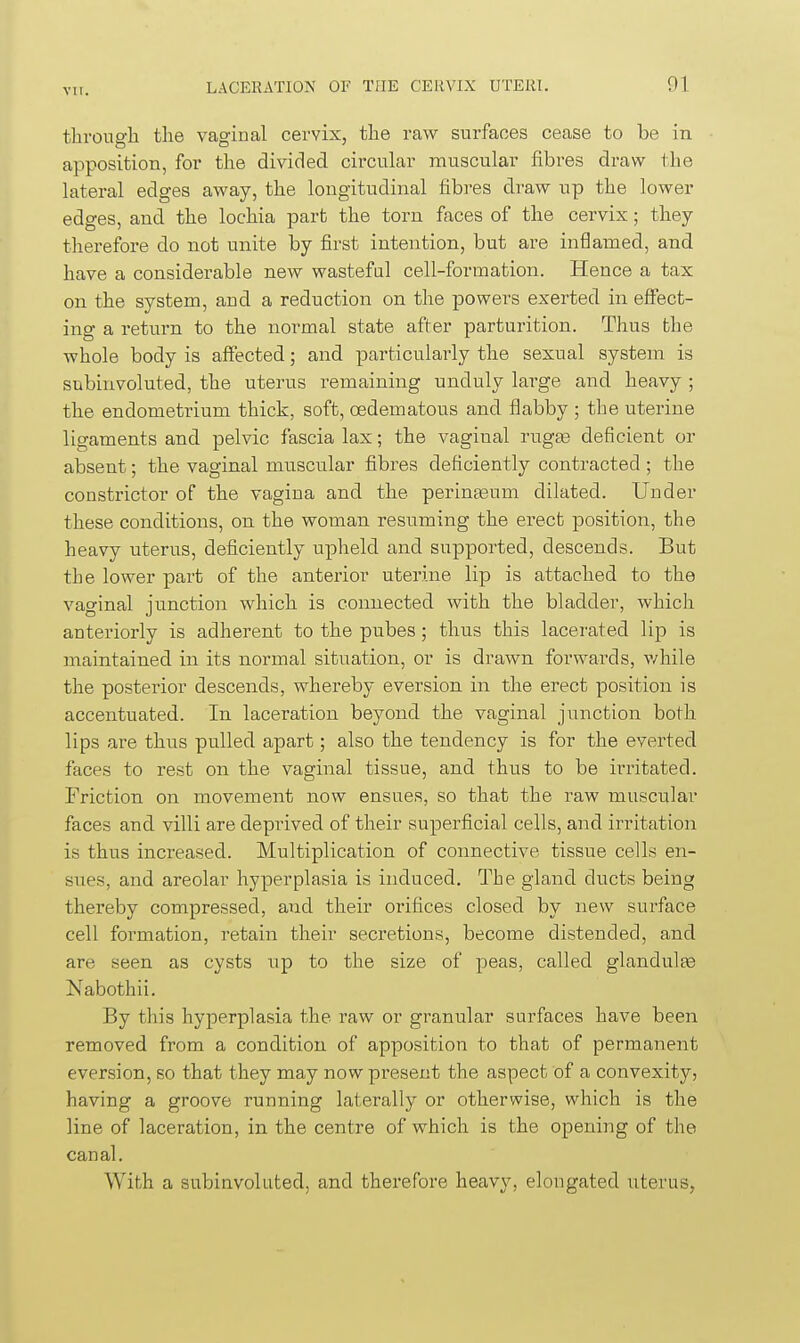 througli the vaginal cervix, tlie raw surfaces cease to be in apposition, for the divided circular muscular fibres draw the lateral edges away, the longitudinal fibres draw up the lower edges, and the lochia part the torn faces of the cervix; they therefore do not unite by first intention, but are inflamed, and have a considerable new wasteful cell-formation. Hence a tax on the system, and a reduction on the powers exerted in effect- ing a return to the normal state after parturition. Thus the whole body is aflJected; and particularly the sexual system is subinvoluted, the uterus remaining unduly large and heavy ; the endometrium thick, soft, oedematous and flabby ; the uterine ligaments and pelvic fascia lax; the vaginal rugte deficient or absent; the vaginal muscular fibres deficiently contracted ; the constrictor of the vagina and the perinasum dilated. Under these conditions, on the woman resuming the erect position, the heavy uterus, deficiently upheld and supported, descends. But the lower part of the anterior uterine lip is attached to the vaginal junction which is connected with the bladder, which anteriorly is adherent to the pubes; thus this lacerated lip is maintained in its normal situation, or is drawn forwards, v/hile the posterior descends, whereby eversion in the erect position is accentuated. In laceration beyond the vaginal junction both lips are thus pulled apart; also the tendency is for the everted faces to rest on the vaginal tissue, and thus to be irritated. Friction on movement now ensues, so that the raw muscular faces and villi are deprived of their superficial cells, and irritation is thus increased. Multiplication of connective tissue cells en- sues, and areolar hyperplasia is induced. The gland ducts being thereby compressed, and their orifices closed by new surface cell formation, retain their secretions, become distended, and are seen as cysts up to the size of peas, called glandulte Nabothii. By this hyperplasia the raw or granular surfaces have been removed from a condition of apposition to that of permanent eversion, so that they may now present the aspect of a convexity, having a groove running laterally or otherwise, which is the line of laceration, in the centre of which is the opening of the canal. With a subinvoluted, and therefore heavy, elongated uterus,