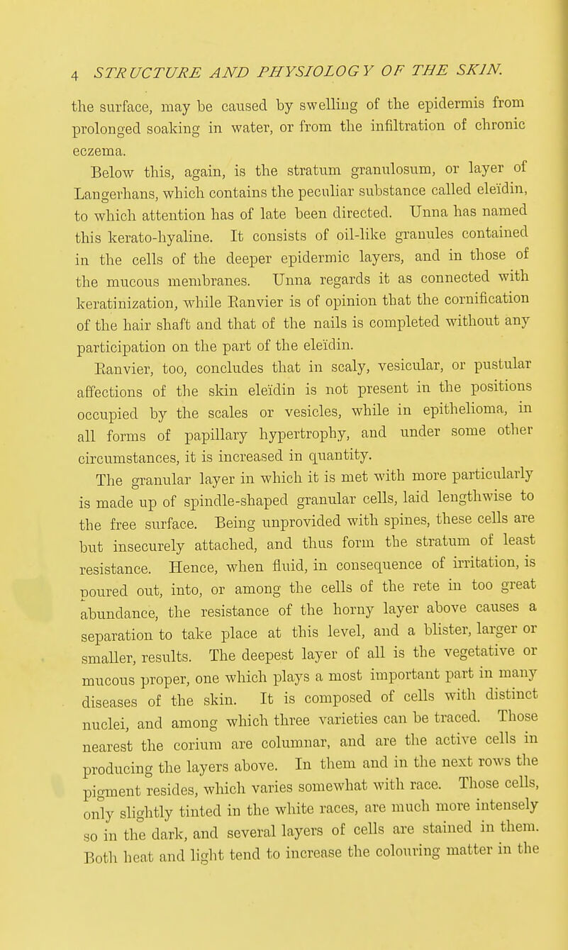 the surface, may be caused by swelling of the epidermis from prolonged soaking in water, or from the infiltration of chronic eczema. Below this, again, is the stratum granulosum, or layer of Langerhans, which contains the peculiar substance called ele'idin, to which attention has of late been directed. Unna has named this kerato-hyaline. It consists of oil-like granules contained in the cells of the deeper epidermic layers, and in those of the mucous membranes. Unna regards it as connected with keratinization, while Eanvier is of opinion that the cornification of the hair shaft and that of the nails is completed without any participation on the part of the ele'idin. Eanvier, too, concludes that in scaly, vesicular, or pustular affections of the skin ele'idin is not present in the positions occupied by the scales or vesicles, while in epithelioma, in all forms of papillary hypertrophy, and under some other circumstances, it is increased in quantity. The granular layer in which it is met with more particularly is made up of spindle-shaped granular cells, laid lengthwise to the free surface. Being unprovided with spines, these cells are but insecurely attached, and thus form the stratum of least resistance. Hence, when fluid, in consequence of irritation, is poured out, into, or among the cells of the rete in too great abundance, the resistance of the horny layer above causes a separation to take place at this level, and a blister, larger or smaller, results. The deepest layer of all is the vegetative or mucous proper, one which plays a most important part in many diseases of the skin. It is composed of cells with distinct nuclei, and among which three varieties can be traced. Those nearest the corium are columnar, and are the active cells in producing the layers above. In them and in the next rows the pigment resides, which varies somewhat with race. Those cells, onty slightly tinted in the white races, are much more intensely so in the dark, and several layers of cells are stained in them. Both heat and light tend to increase the colouring matter in the