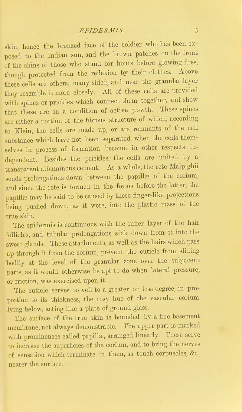 skin, hence the bronzed face of the soldier who has been ex- posed to the Indian sun, and the brown patches on the front of the shins of those who stand for hours before glowing fires, though protected from the reflexion by their clothes. Above these° cells are others, many sided, and near the granular layer they resemble it more closely. All of these cells are provided with spines or prickles which connect them together, and show that these are in a condition of active growth. These spines are either a portion of the fibrous structure of which, according to Klein, the cells are made up, or are remnants of the cell substance which have not been separated when the cells them- selves in process of formation become in other respects in- dependent. Besides the prickles/ the cells are united by a transparent albuminous cement. As a whole, the rete Malpighii sends prolongations down between the papillae of the corium, and since the rete is formed in the foetus before the latter, the papilla may be said to be caused by these finger-like projections being pushed down, as it were, into the plastic mass of the true skin. The epidermis is continuous with the inner layer of the hair follicles, and tubular prolongations sink down from it into the sweat glands. These attachments, as well as the hairs which pass up through it from the corium, prevent the cuticle from sliding bodily at the level of the granular zone over the subjacent parts, as it would otherwise be apt to do when lateral pressure, or friction, was exercised upon it. The cuticle serves to veil to a greater or less degree, in pro- portion to its thickness, the rosy hue of the vascular corium lying below, acting like a plate of ground glass. The surface of the true skin is bounded by a fine basement membrane, not always demonstrable. The upper part is marked with prominences called papillaj, arranged linearly. These serve to increase the superficies of the corium, and to bring the nerves of sensation which terminate in them, as touch corpuscles, &c, nearer the surface.