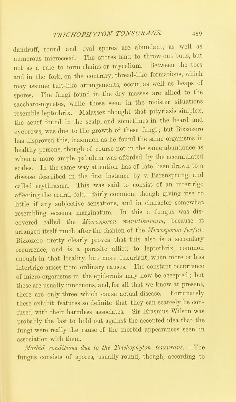 dandruff, round and oval spores are abundant, as well as numerous micrococci. The spores tend to throw out buds, but not as a rule to form chains or mycelium. Between the toes and in the fork, on the contrary, thread-like formations, which may assume tuft-like arrangements, occur, as well as heaps of spores. The fungi found in the dry masses are allied to the saccharo-mycetes, while those seen in the moister situations Tesemble leptothrix. Malassez thought that pityriasis simplex, the scurf found in the scalp, and sometimes in the beard and eyebrows, was due to the growth of these fungi; but Bizzozero has disproved this, inasmuch as he found the same organisms in healthy persons, though of course not in the same abundance as when a more ample pabulum was afforded by the accumulated scales. In the same way attention has of late been drawn to a disease described in the first instance by v. Barensprung, and called erythrasma. This was said to consist of an intertrigo affecting the crural fold—fairly common, though giving rise to little if any subjective sensations, and in character somewhat resembling eczema marginatum. In this a fungus was dis- covered called the Microsporon minutissimum, because it arranged itself much after the fashion of the Microsporon furfur. Bizzozero pretty clearly proves that this also is a secondary occurrence, and is a parasite allied to leptothrix, common enough in that locality, but more luxuriant, when more or less intertrigo arises from ordinary causes. The constant occurrence of micro-organisms in the epidermis may now be accepted; but these are usually innocuous, and, for all that we know at present, there are only three which cause actual disease. Fortunately these exhibit features so definite that they can scarcely be con- fused with their harmless associates. Sir Erasmus Wilson was probably the last to hold out against the accepted idea that the fungi were really the cause of the morbid appearances seen in association with them. Morbid conditions due to the TricJwphyton tonsurans. — The fungus consists of spores, usually round, though, according to