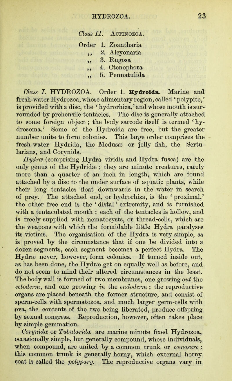 Class II. ACTINOZOA. Order 1. Zoantharia 2. Alcyonaria 3. E-ugosa 4. Ctenophora 5. Pennatulida Class I. HYDROZOA. Order 1. Kydroida. Marine and fresh-water Hydrozoa, whose alimentary region, called ' polypite/ is provided with a disc, the ^ hydrorhiza/ and whose mouth is sur- rounded by prehensile tentacles. The disc is generally attached to some foreign object; the body sarcode itself is termed 'hy- drosoma.' Some of the Hydroida are free, but the greater number unite to form colonies. This large order comprises the fresh-water Hydrida, the Medusae or jelly fish, the Sertu- larians, and Corynids. HydrcB (comprising Hydra viridis and Hydra fusca) are the only genus of the Hydridse ; they are minute creatures, rarely more than a quarter of an inch in length, which are found attached by a disc to the under surface of aquatic plants, while their long tentacles float downwards in the water in search of prey. The attached end, or hydrorhiza, is the ^ proximal,' the other free end is the ' distal' extremity, and is furnished with a tentaculated mouth ; each of the tentacles is hollow, and is freely supplied with nematocysts, or thread-cells, which are the weapons with which the formidable little Hydra paralyses its victims. The organisation of the Hydra is very simple, as is proved by the circumstance that if one be divided into a dozen segments, each segment becomes a perfect Hydra. The Hydras never, however, form colonies. If turned inside out, as has been done, the Hydras get on equally well as before, and do not seem to mind their altered circumstances in the least. The body wall is formed of two membranes, one growing out the ectoderm, and one growing in the endoderm ; the reproductive organs are placed beneath the former structure, and consist of sperm-cells with spermatozoa, and much larger germ-cells with pva, the contents of the two being liberated, produce offspring t)y sexual congress. Reproduction, however, often takes place by simple gemmation. Corynidce or Tuhularidce are marine minute fixed Hydrozoa, occasionally simple, but generally compound, whose individuals, when compound, are united by a common trunk or coenosarc : this common trunk is generally horny, which external horny coat is called the polypary. The reproductive organs vary in