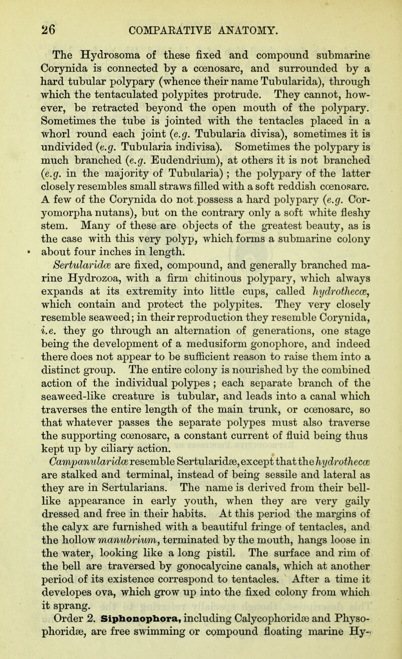 The Hydrosoma of these fixed and compound submarine Corynida is connected by a coenosarc, and surrounded by a hard tubular polypary (whence their name Tubularida), through which the tentaculated polypites protrude. They cannot, how- ever, be retracted beyond the open mouth of the polypary. Sometimes the tube is jointed with the tentacles placed in a whorl round each joint {e.g. Tubularia divisa), sometimes it is undivided (e.g. Tubularia indivisa). Sometimes the polypary is much branched {e.g. Eudendrium), at others it is not branched {e.g. in the majority of Tubularia) ; the polypary of the latter closely resembles small straws filled with a soft reddish coenosarc. A few of the Corynida do not possess a hard polypary {e.g. Cor- yomorpha nutans), but on the contrary only a soft white fleshy stem. Many of these are objects of the greatest beauty, as is the case with this very polyp, which forms a submarine colony about four inches in length. Sertularidm are fixed, compound, and generally branched ma- rine Hydrozoa, with a firm chitinous polypary, which always expands at its extremity into little cups, called hydrothecce, which contain and protect the polypites. They very closely resemble seaweed; in their reproduction they resemble Corynida, i.e. they go through an alternation of generations, one stage being the development of a medusiform gonophore, and indeed there does not appear to be sufficient reason to raise them into a distinct group. The entire colony is nourished by the combined action of the individual polypes ; each separate branch of the seaweed-like creature is tubular, and leads into a canal which traverses the entire length of the main trunk, or coenosarc, so that whatever passes the separate polypes must also traverse the supporting coenosarc, a constant current of fluid being thus kept up by ciliary action. CampanularidcB resemble Sertularidse, except that the hydrothecce are stalked and terminal, instead of being sessile and lateral as they are in Sertularians. The name is derived from their bell- like appearance in early youth, when they are very gaily dressed and free in their habits. At this period the margins of the calyx are furnished with a beautiful fringe of tentacles, and the hollow mamibrium, terminated by the mouth, hangs loose in the water, looking like a long pistil. The surface and rim of the bell are traversed by gonocalycine canals, which at another period of its existence correspond to tentacles. Aiter a time it developes ova, which grow up into the fixed colony from which it sprang. Order 2. Sipbonopbora, including Calycophoridse and Physo- phoridse, are free swimming or cpmpound floating marine Hy-<