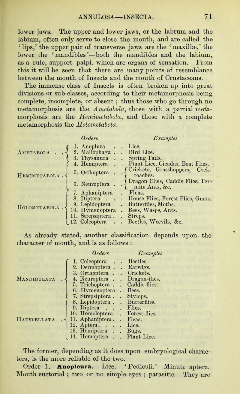 lower jaws. The upper and lower jaws, or the labrum and the labium, often only serve to close the mouth, and are called the ' lips,' the upper pair of transverse jaws are the ' maxillae,' the lower the ^mandibles'—both the mandibles and the labium, as a rule, support palpi, which are organs of sensation. From this it will be seen that there are many points of resemblance between the mouth of Insects and the mouth of Crustaceans. The immense class of Insects is often broken up into great divisions or sub-classes, according to their metamorphosis being- complete, incomplete, or absent ; thus those who go through no metamorphosis are the Ametahola, those with a partial meta- morphosis are the Jiemimetabola, and those with a complete metamorphosis the Holometahola, Ametabola Hemimetabol- •{ -■1 Orders 1. Anoplura 2. Mallophaga 3. Thysanura 4. Hemiptera 5. Orthoptera Holometabola . < 6. Neuroptera . 7. Aphaniptera 8. Diptera . . 9. Lepidoptera 10. Hymenoptera 11. Strepsiptera . ^12. Coleoptera ^ Examples . Lice. . Bird Lice. . Spring Tails.. . Plant Lice, Cicadas, Boat Flies. f Crickets, Grasshoppers, Cock- * I roaclnes. (Dragon Flies, Caddis Flies, Ter- ' \ mite Ants, &c. . Fleas. , House Flies, Forest Flies, Gnats. . Butterflies, Moths. . Bees, Wasps, Ants. . Streps. . Beetles, Weevils, &c. As already stated, another classification depends upon^ the character of mouth, and. is as follows : Mandibulata Haitstellata . ■{ Orders 1. Coleoptera . 2. Dermoptera , 3. Orthoptera . 4. Neuroptera . 5. Trichoptera . 6. Hymenoptera 7. Strepsiptera . 8. Lepidoptera . 9. Diptera , . 10. Homoloptera 11. Aphaniptera. 12. Aptera. . . 13. Hemiptera . 14. Homoptera . Examples Beetles. Earwigs. Crickets. Dragon-fiies. Caddis-flies: Bees. Stylops,. Butterflies. Flies. Forest-flies. Fleas. Lice. Bugs. Plant Lice. The former, depending as it does upon embryological charac- ters, is the more reliable of the two. Order 1. Anopleura. Lice. 'Pediculi.' Minute aptera. Mouth suctorial ; two or no simple eyes ; parasitic. They are