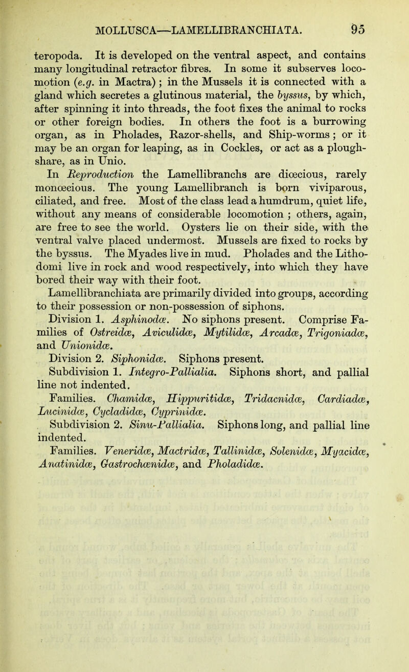 teropoda. It is developed on the ventral aspect, and contains many longitudinal retractor fibres. In some it subserves loco- motion {e.g. in Mactra) ; in the Mussels it is connected with a gland which secretes a glutinous material, the byssus, by which, after spinning it into threads, the foot fixes the animal to rocks or other foreign bodies. In others the foot is a burrowing organ, as in Pholades, Razor-shells, and Ship-worms; or it may be an organ for leaping, as in Cockles, or act as a plough- share, as in Unio. In Reproduction the Lamellibranchs are dioecious, rarely monoecious. The young Lamellibranch is born viviparous, ciliated, and free. Most of the class lead a humdrum, quiet life, without any means of considerable locomotion ; others, again, are free to see the world. Oysters lie on their side, with the ventral valve placed undermost. Mussels are fixed to rocks by the byssus. The Myades live in mud. Pholades and the Litho- domi live in rock and wood respectively, into which they have bored their way with their foot. Lamellibranchiata are primarily divided into groups, according to their possession or non-possession of siphons. Division 1. Asphinodoe. No siphons present. Comprise Fa- milies of Ostreidce, Aviculidce, Mytilidce, Arcadce, Trigoniadoe, and Unionidce. Division 2. Siphonidce. Siphons present. Subdivision 1. Integro-Pallialia. Siphons short, and pallial line not indented. Families. Ghamidce, Hippuritidm, Tridacnidm, Cardiadce, LucinidcE, Cycladidce, Cyprinidce. Subdivision 2. Sinu-Fallialia. Siphons long, and pallial line indented. Families. Veneridm, Mactridce, Tallinidce, SolenidcB, Myacidce, Anatinidce, Gastrochcenidcej and Fholadidce.