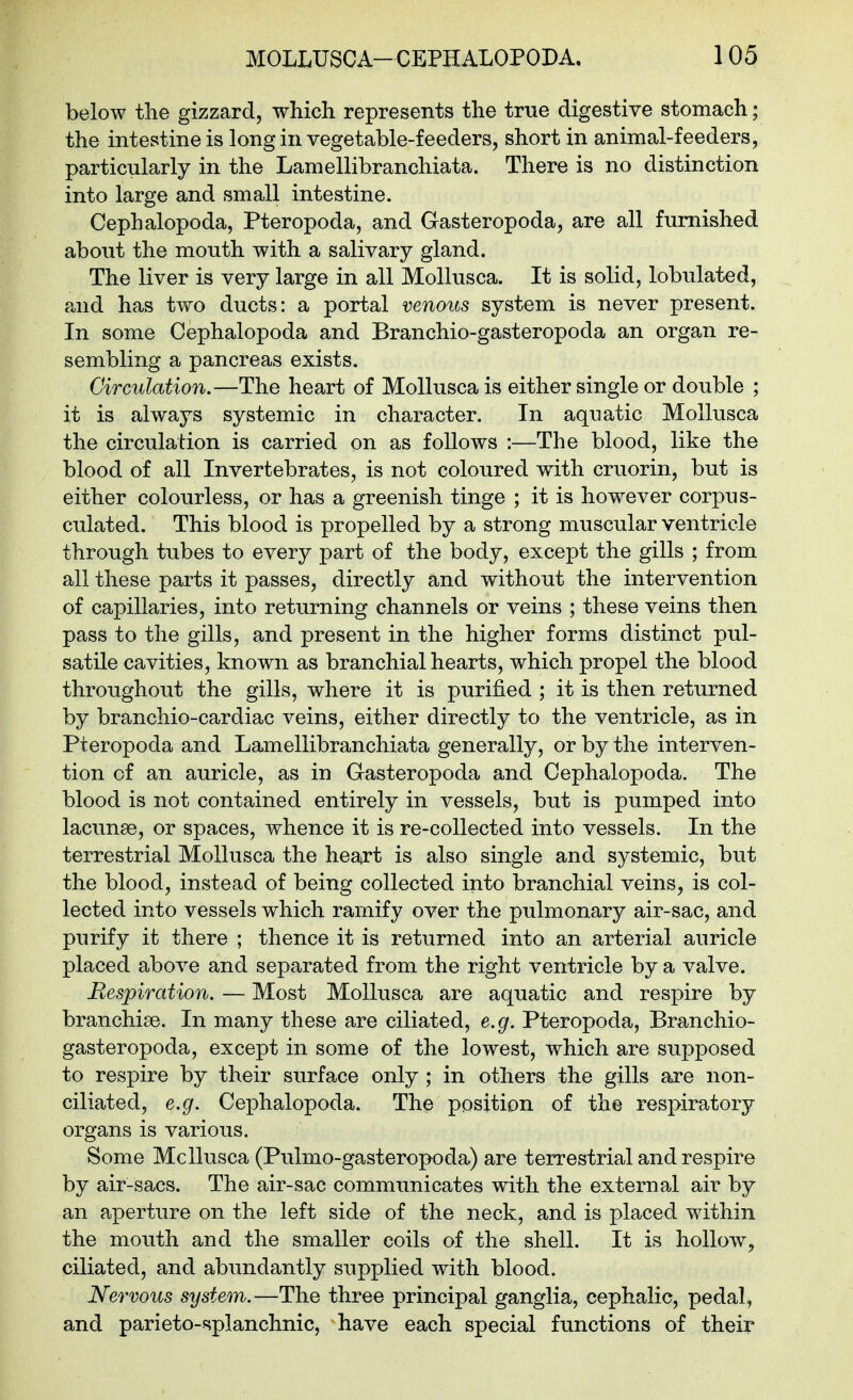 below the gizzard, which represents the true digestive stomach; the intestine is long in vegetable-feeders, short in animal-feeders, particularly in the Lamellibranchiata. There is no distinction into large and small intestine. Cephalopoda, Pteropoda, and Gasteropoda, are all furnished about the mouth with a salivary gland. The liver is very large in all Mollusca. It is solid, lobulated, and has two ducts: a portal venous system is never present. In some Cephalopoda and Branchio-gasteropoda an organ re- sembling a pancreas exists. Circulation.—The heart of Mollusca is either single or double ; it is always systemic in character. In aquatic Mollusca the circulation is carried on as follows :—The blood, like the blood of all Invertebrates, is not coloured with cruorin, but is either colourless, or has a greenish tinge ; it is however corpus- culated. This blood is propelled by a strong muscular ventricle through tubes to every part of the body, except the gills ; from all these parts it passes, directly and without the intervention of capillaries, into returning channels or veins ; these veins then pass to the gills, and present in the higher forms distinct pul- satile cavities, known as branchial hearts, which propel the blood throughout the gills, where it is purified ; it is then returned by brancliio-cardiac veins, either directly to the ventricle, as in Pteropoda and Lamellibranchiata generally, or by the interven- tion of an auricle, as in Gasteropoda and Cephalopoda. The blood is not contained entirely in vessels, but is pumped into lacunae, or spaces, whence it is re-collected into vessels. In the terrestrial Mollusca the heart is also single and systemic, but the blood, instead of being collected into branchial veins, is col- lected into vessels which ramify over the pulmonary air-sac, and purify it there ; thence it is returned into an arterial auricle placed above and separated from the right ventricle by a valve. Respiration. — Most Mollusca are aquatic and respire by branchiae. In many these are ciliated, e.g. Pteropoda, Branchio- gasteropoda, except in some of the lowest, which are supposed to respire by their surface only; in others the gills are non- ciliated, e.g. Cephalopoda, The position of the respiratory organs is various. Some Mollusca (Pulmo-gasteropoda) are terrestrial and respire by air-sacs. The air-sac communicates with the external air by an aperture on the left side of the neck, and is placed within the mouth and the smaller coils of the shell. It is hollow, ciliated, and abundantly supplied with blood. Nervous system.—The three principal ganglia, cephalic, pedal, and parieto-splanchnic, have each special functions of their