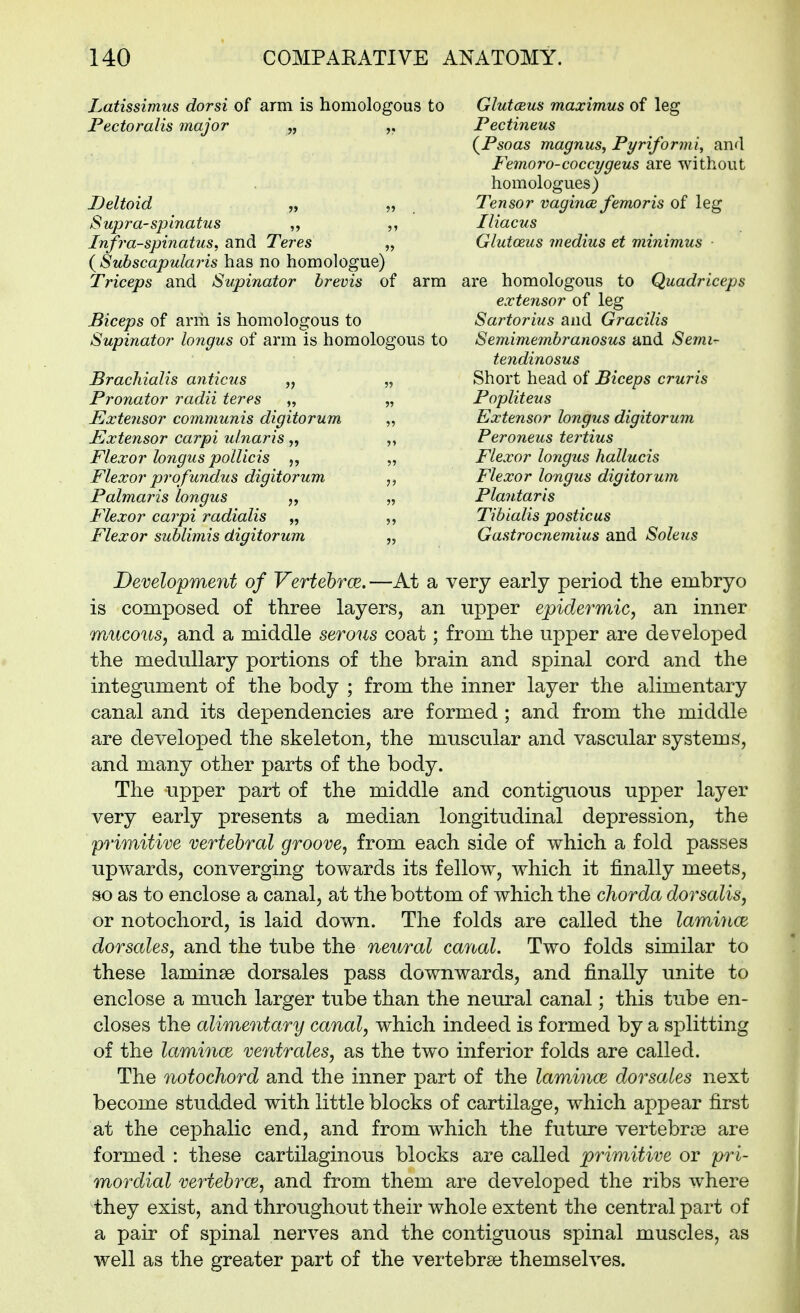 Latissimus dorsi of arm is homologous to Glutceus maximus of leg Pectoralis major „ Pectineus {Psoas magnuSy Pyriformi, and Femoro-coccygeus are without homologues) Deltoid „ „ Tensor vagince femoris of leg Supra-spinatus „ Iliacus Infraspinatus, and Teres „ Glutceus medius et minimus ■ ( Subscapularis has no homologue) Triceps and Supinator brevis of arm are homologous to Quadriceps extensor of leg Biceps of anil is homologous to Sartorius and Gracilis Supinator longus of arm is homologous to Semimembranosus and Sejni- tendinosus Brachialis anticus „ „ Short head of Biceps cruris Pronator radii teres „ „ Popliteus Extensor communis digitorum ,, Extensor longus digitorum Extensor carpi ulnaris „ „ Peroneus tertius Flexor longus polUcis „ „ Flexor longus hallucis Flexor profundus digitorum Flexor longus digitorum Palmaris longus „ „ Plantaris Flexor carpi radialis „ Tibialis posticus Flexor sublimis digitorum „ Gastrocnemius and Soleus Development of Vertehrce.—At a very early period the embryo is composed of three layers, an upper epidermic, an inner mucous, and a middle serous coat; from the upper are developed the medullary portions of the brain and spinal cord and the integument of the body ; from the inner layer the alimentary canal and its dependencies are formed; and from the middle are developed the skeleton, the muscular and vascular systems, and many other parts of the body. The upper part of the middle and contiguous upper layer very early presents a median longitudinal depression, the primitive vertebral groove, from each side of which a fold passes upwards, converging towards its fellow, which it finally meets, so as to enclose a canal, at the bottom of which the chorda dorsalis, or notochord, is laid down. The folds are called the laminae dorsales, and the tube the neural canal. Two folds similar to these laminse dorsales pass downwards, and finally unite to enclose a much larger tube than the neural canal; this tube en- closes the alimentary canal, which indeed is formed by a splitting of the laminae ventrales, as the two inferior folds are called. The notochord and the inner part of the laminae dorsales next become studded with little blocks of cartilage, which appear first at the cephalic end, and from which the future vertebrae are formed : these cartilaginous blocks are called primitive or pri- mordial vertehrce, and from them are developed the ribs where they exist, and throughout their whole extent the central part of a pair of spinal nerves and the contiguous spinal muscles, as well as the greater part of the vertebrse themselves.