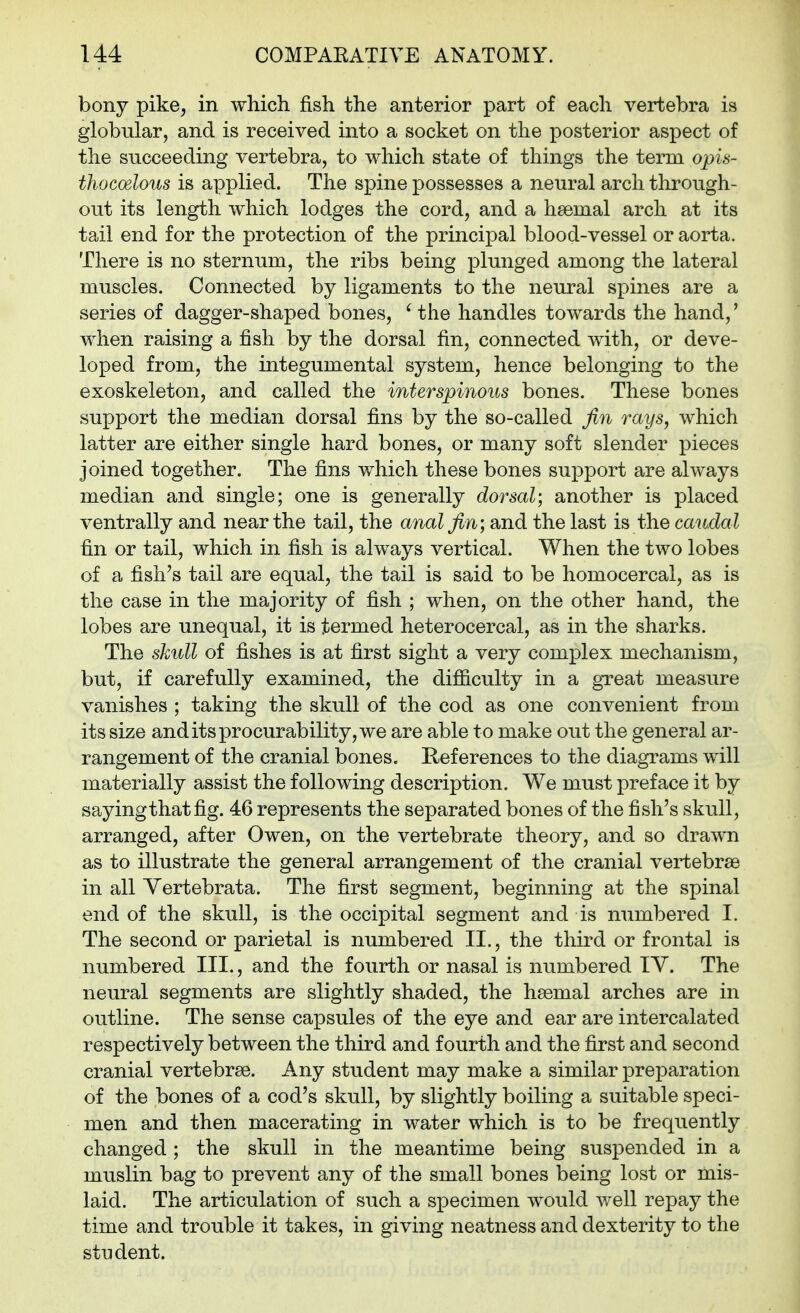 bony pike, in which fish the anterior part of each vertebra is globular, and is received into a socket on the posterior aspect of the succeeding vertebra, to which state of things the term opis- thocoelous is applied. The spine possesses a neural arch through- out its length which lodges the cord, and a hsemal arch at its tail end for the protection of the principal blood-vessel or aorta. There is no sternum, the ribs being plunged among the lateral muscles. Connected by ligaments to the neural spines are a series of dagger-shaped bones, ' the handles towards the hand,' when raising a fish by the dorsal fin, connected with, or deve- loped from, the integumental system, hence belonging to the exoskeleton, and called the interspinous bones. These bones support the median dorsal fins by the so-called fin rays, which latter are either single hard bones, or many soft slender pieces joined together. The fins which these bones support are always median and single; one is generally dorsal; another is placed ventrally and near the tail, the anal fin; and the last is the caudal fin or tail, which in fish is always vertical. When the two lobes of a fish's tail are equal, the tail is said to be homocercal, as is the case in the majority of fish ; when, on the other hand, the lobes are unequal, it is termed heterocercal, as in the sharks. The sliidl of fishes is at first sight a very complex mechanism, but, if carefully examined, the difficulty in a great measure vanishes ; taking the skull of the cod as one convenient from its size anditsprocurability, we are able to make out the general ar- rangement of the cranial bones. References to the diagrams will materially assist the following description. We must preface it by sayingthatfig. 46 represents the separated bones of the fish's skull, arranged, after Owen, on the vertebrate theory, and so drawn as to illustrate the general arrangement of the cranial vertebrae in all Yertebrata. The first segment, beginning at the spinal end of the skull, is the occipital segment and is numbered I. The second or parietal is numbered II., the third or frontal is numbered III., and the fourth or nasal is numbered lY. The neural segments are slightly shaded, the haemal arches are in outline. The sense capsules of the eye and ear are intercalated respectively between the third and fourth and the first and second cranial vertebrae. A.ny student may make a similar preparation of the bones of a cod's skull, by slightly boiling a suitable speci- men and then macerating in water which is to be frequently changed; the skull in the meantime being suspended in a muslin bag to prevent any of the small bones being lost or mis- laid. The articulation of such a specimen would well repay the time and trouble it takes, in giving neatness and dexterity to the stndent.