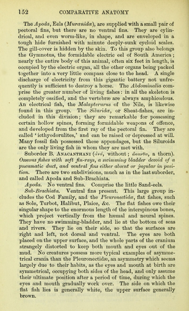 The Apoda, Eels (Murcenidce), are supplied with a small pair of pectoral fins, but there are no ventral fins. They are cylin- drical, and even worm-like, in shape, and are enveloped in a tough hide furnished with minute deeply-sunk cycloid scales. The gill-cover is hidden by the skin. To this group also belongs the Gymnotus, the formidable electric eel of South America ; nearly the entire body of this animal, often six feet in length, is occupied by the electric organ, all the other organs being packed together into a very little compass close to the head. A single discharge of electricity from this gigantic battery not unfre- quently is sufficient to destroy a horse. The Ahdominalia com- prise the greater number of living fishes : in all the skeleton is completely ossified, and the vertebrae are always amphicoelous. An electrical fish, the Malapterurus of the Nile, is likewise found in this group. The Siluridce, or Sheat-fishes, are in- cluded in this division; they are remarkable for possessing certain hollow spines, forming formidable weapons of ofience, and dev^eloped from the first ray of the pectoral fin. They are called ^ icthyodorulites,' and can be raised or depressed at will. Many fossil fish possessed these appendages, but the Siluroids are the only living fish in whom they are met with. Suborder B. Anacai^thani (dva^ without; aKavOa, a thorn). Osseous fishes with soft fin-rays, a swimming bladder devoid of a pneumatic duct, and ventral fins either absent or jugular in posi- tion. There are two subdivisions, much as in the last suborder, and called Apoda and Sub-Brachiata. Apoda. No ventral fins. Comprise the little Sand-eels. Sub-Brachiata. Ventral fins present. This large group in- cludes the Cod Family, and the Fleuronectidce, flat fishes, such as Sole, Tarbot, Halibut, Plaice, &c. The flat fishes owe their singular shape to the enormous length of the interspinous bones, which project vertically from the haemal and neural spines. They have no swimming-bladder, and lie at the bottom of seas and rivers. They lie on their side, so that the surfaces are right and left, not dorsal and ventral. The eyes are both placed on the upper surface, and the whole parts of the cranium strangely distorted to keep both mouth and eyes out of the mud. No creatures possess more typical examples of asymme- trical crania than the Pleuronectidae, an asymmetry which seems largely due to their habits, as the eyes and mouth at birth are symmetrical, occupying both sides of the head, and only assume their ultimate position after a period of time, during which the eyes and mouth gradually work over. The side on which the flat fish lies is generally white, the upper surface generally brown.