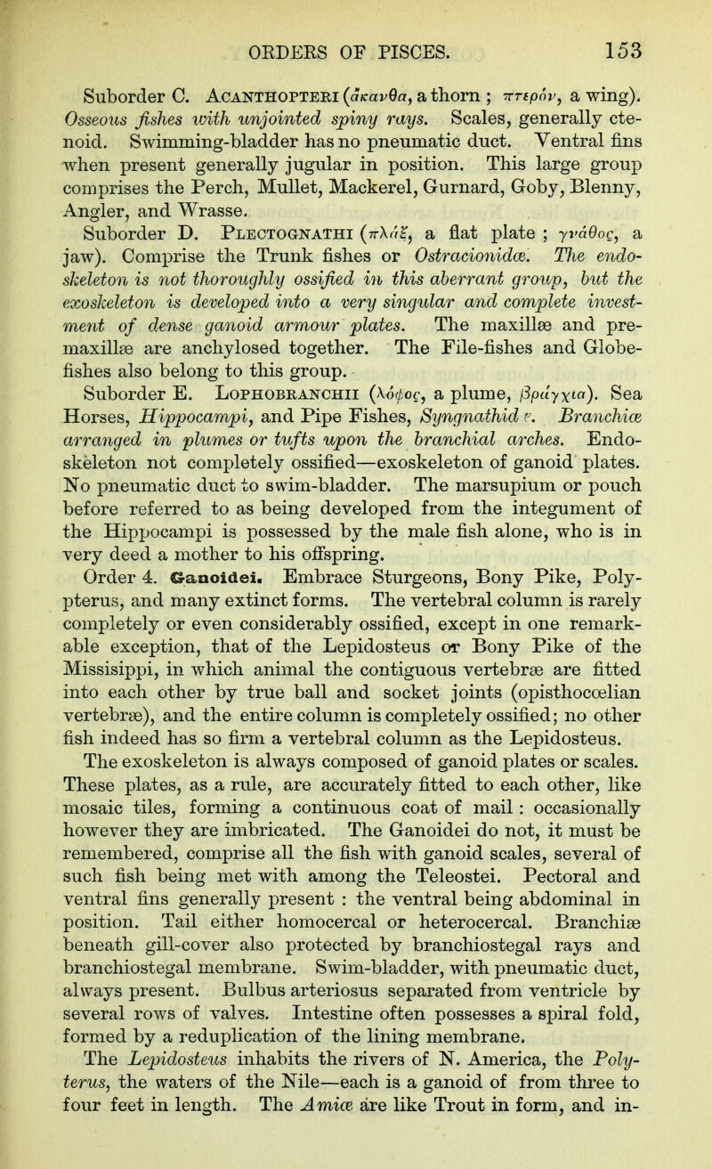 Suborder C. Acanthopteri (i?/cap0a, a thorn ; -rrrfpor, a wing)* Osseous fishes with unjointed spiny rays. Scales, generally cte- noid. Swimming-bladder has no pneumatic duct. Yentral fins when present generally jugular in position. This large group comprises the Perch, Mullet, Mackerel, Gurnard, Goby, Blenny, Angler, and Wrasse. Suborder D. Plectognathi (ttXh^^ a flat plate ; yvdOoc, a jaw). Comprise the Trunk fishes or Ostracionidw. The endo- skeleton is not thoroughly ossified in this aberrant group, but the exoskeleton is developed into a very singular and complete invest- ment of dense ganoid armour plates. The maxillae and pre- maxillse are anchylosed together. The File-fishes and Globe- fishes also belong to this group. Suborder E. Lophobranchii (\6(poc, a plume, [Spuyxia). Sea Horses, Hippocampiy and Pipe Fishes, Syngnathid p. Branchiae arranged in plumes or tufts upon the branchial arches. Endo- skeleton not completely ossified—exoskeleton of ganoid plates. No pneumatic duct to swim-bladder. The marsupium or pouch before referred to as being developed from the integument of the Hippocampi is possessed by the male fish alone, who is in very deed a mother to his ofispring. Order 4. CS-anoidei. Embrace Sturgeons, Bony Pike, Poly- pterus, and many extinct forms. The vertebral column is rarely completely or even considerably ossified, except in one remark- able exception, that of the Lepidosteus or Bony Pike of the Missisippi, in which animal the contiguous vertebrae are fitted into each other by true ball and socket joints (opisthocoelian vertebrae), and the entire column is completely ossified; no other fish indeed has so firm a vertebral column as the Lepidosteus. The exoskeleton is always composed of ganoid plates or scales. These plates, as a rule, are accurately fitted to each other, like mosaic tiles, forming a continuous coat of mail : occasionally however they are imbricated. The Ganoidei do not, it must be remembered, comprise all the fish with ganoid scales, several of such fish being met with among the Teleostei. Pectoral and ventral fins generally present : the ventral being abdominal in position. Tail either homocercal or heterocercal. Branchiae beneath gill-cover also protected by branchiostegal rays and branchiostegal membrane. Swim-bladder, with pneumatic duct, always present. Bulbus arteriosus separated from ventricle by several rows of valves. Intestine often possesses a spiral fold, formed by a reduplication of the lining membrane. The Lepidosteus inhabits the rivers of N. America, the Poly- terus, the waters of the Nile—each is a ganoid of from three to four feet in length. The Amice, are like Trout in form, and in-