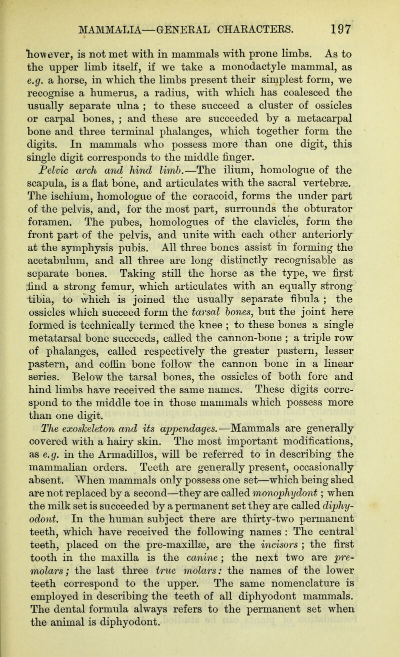 however, is not met with in mammals with prone limbs. As to the upper limb itself, if we take a monodactyle mammal, as e.g. a horse, in which the limbs present their simplest form, we recognise a humerus, a radius, with which has coalesced the usually separate ulna ; to these succeed a cluster of ossicles or carpal bones, ; and these are succeeded by a metacarpal bone and three terminal phalanges, which together form the digits. In mammals who possess more than one digit, this single digit corresponds to the middle finger. Fel'vic arch and hind limb.—^The ilium, homologue of the scapula, is a flat bone, and articulates with the sacral vertebrae. The ischium, homologue of the coracoid, forms the under part of the pelvis, and, for the most part, surrounds the obturator foramen. The pubes, homologues of the clavicles, form the front part of the pelvis, and unite with each other anteriorly at the symphysis pubis. All three bones assist in forming the acetabulum, and all three are long distinctly recognisable as separate bones. Taking still the horse as the type, we first ■find a strong femur, which articulates with an equally strong tibia, to which is joined the usually separate fibula ; the ossicles which succeed form the tarsal hones, but the joint here formed is technically termed the knee ; to these bones a single metatarsal bone succeeds, called the cannon-bone ; a triple row of phalanges, called respectively the greater pastern, lesser pastern, and coffin bone follow the cannon bone in a linear series. Below the tarsal bones, the ossicles of both fore and hind limbs have received the same names. These digits corre- spond to the middle toe in those mammals which possess more than one digit. The exosheleton and its appendages.—Mammals are generally covered with a hairy skin. The most important modifications, as e.g. in the Armadillos, will be referred to in describing the mammalian orders. Teeth are generally present, occasionally absent. When mammals only possess one set—which being shed are not replaced by a second—they are called monophydont; when the milk set is succeeded by a permanent set they are called diphy- odont. In the human subject there are thirty-two permanent teeth, which have received the following names : The central teeth, placed on the pre-maxillse, are the incisors ; the first tooth in the maxilla is the canine; the next two are pre- molars; the last three true molars: the names of the lower teeth correspond to the upper. The same nomenclature is employed in describing the teeth of all diphyodont mammals. The dental formula always refers to the permanent set when the animal is diphyodont.