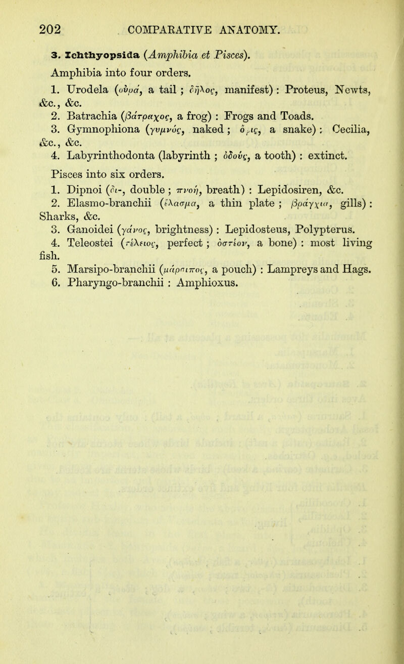 3. Iclithyopsida (Amphibia et Pisces). Amphibia into four orders. 1. Urodela (ovpd, a tail; SrjXoc, manifest) : Proteus, Newts, &c., &c. 2. Batrachia {(Sdrpaxocy a frog) : Frogs and Toads. 3. Gymnophiona (yujui/oc, naked; o.ic, a snake): Cecilia, (&C., &c. 4. Labyrinthodonta (labyrinth ; dSovc;, a tooth) : extinct. Pisces into six orders. 1. Dipnoi (h'j double; ttpot], breath) : Lepidosiren, &c. 2. Elasmo-branchii (tXarr/jiaj a thin plate ; [3pdyxi<>, gills): Sharks, &c. 3. Ganoidei (ydroc, brightness) : Lepidosteus, Polypterus. 4. Teleostei (rsXeioc, perfect; dar'tor^ a bone) : most living fish. 5. Marsipo-branchii (i^dpnirroc, a pouch) : Lampreys and Hags. 6. Pharyngo-branchii : Amphioxus.