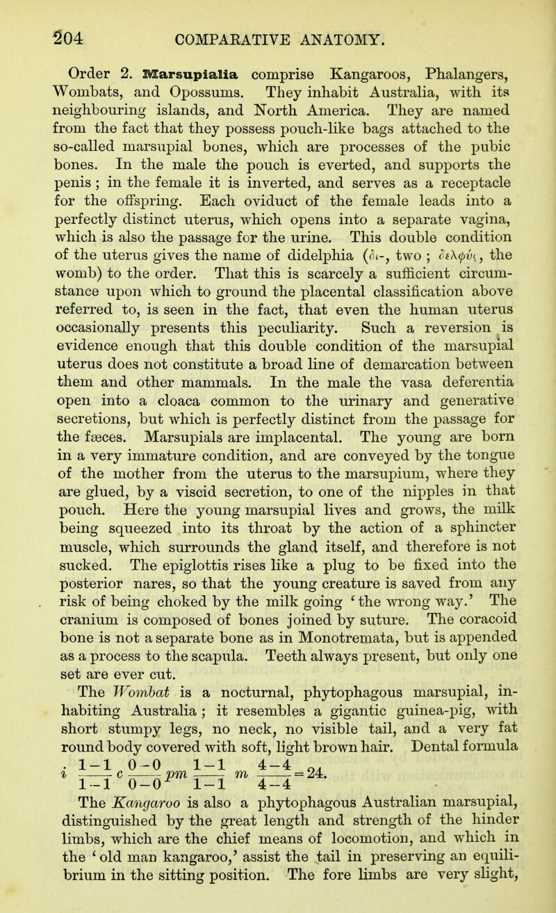 Order 2. Marsupialia comprise Kangaroos, Phalangers, Wombats, and Opossums. They inhabit Australia, with its neighbouring islands, and North America. They are named from the fact that they possess pouch-like bags attached to the so-called marsupial bones, which are processes of the pubic bones. In the male the pouch is everted, and supports the penis; in the female it is inverted, and serves as a receptacle for the olfspring. Each oviduct of the female leads into a perfectly distinct uterus, which opens into a separate vagina, which is also the passage for the urine. This double condition of the uterus gives the name of didelphia ((^i-, two ; oe\(pvc, the womb) to the order. That this is scarcely a sufficient circum- stance upon which to ground the placental classification above referred to, is seen in the fact, that even the human uterus occasionally presents this peculiarity. Such a reversion is evidence enough that this double condition of the marsupial uterus does not constitute a broad line of demarcation between them and other mammals. In the male the vasa deferentia open into a cloaca common to the urinary and generative secretions, but which is perfectly distinct from the passage for the faeces. Marsupials are implacental. The young are born in a very immature condition, and are conveyed by the tongue of the mother from the uterus to the marsupium, where they are glued, by a viscid secretion, to one of the nipples in that pouch. Here the young marsupial lives and grows, the milk being squeezed into its throat by the action of a sphincter muscle, which surrounds the gland itself, and therefore is not sucked. The epiglottis rises like a plug to be fixed into the posterior nares, so that the young creature is saved from any risk of being choked by the milk going Hhe wrong way.' The cranium is composed of bones joined by suture. The coracoid bone is not a separate bone as in Monotremata, but is appended as a process to the scapula. Teeth always present, but only one set are ever cut. The JVomhat is a nocturnal, phytophagous marsupial, in- habiting Australia ; it resembles a gigantic guinea-]3ig, with short stumpy legs, no neck, no visible tail, and a very fat round body covered with soft, light brown hair. Dental formula . 1-1 0-0 1-1 4-4 The Kangaroo is also a phytophagous Australian marsupial, distinguished by the great length and strength of the hinder limbs, which are the chief means of locomotion, and which in the ^old man kangaroo,' assist the tail in preserving an equili- brium in the sitting position. The fore limbs are very slight,