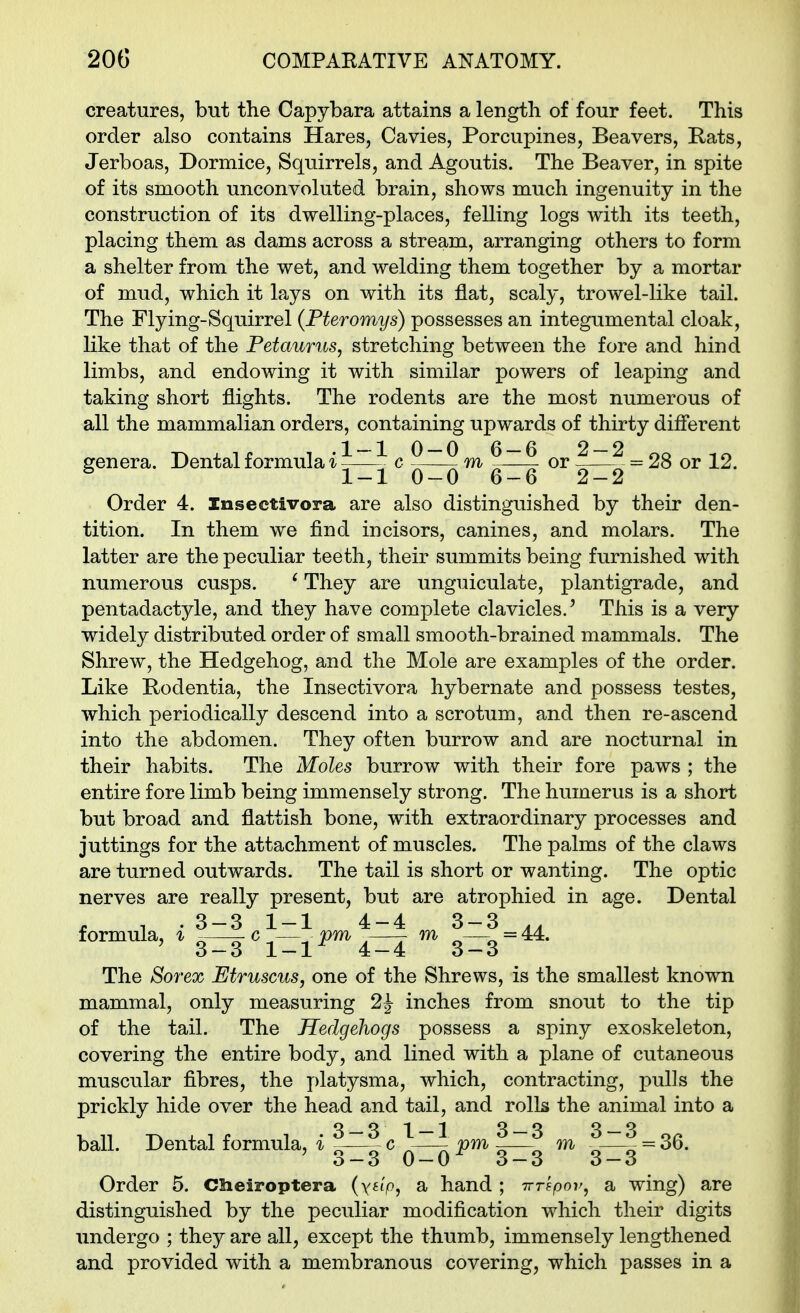 creatures, but the Capybara attains a length of four feet. This order also contains Hares, Cavies, Porcupines, Beavers, Rats, Jerboas, Dormice, Squirrels, and Agoutis. The Beaver, in spite of its smooth unconvoluted brain, shows much ingenuity in the construction of its dwelling-places, felling logs with its teeth, placing them as dams across a stream, arranging others to form a shelter from the wet, and welding them together by a mortar of mud, which it lays on with its flat, scaly, trowel-like tail. The Flying-Squirrel (Pteromys) possesses an integumental cloak, like that of the Petaurus, stretching between the fore and hind limbs, and endowing it Avith similar powers of leaping and taking short flights. The rodents are the most numerous of all the mammalian orders, containing upwards of thirty difierent ..r 1 .1-1 0-0 6-6 2-2 oo 10 genera. Dental formula i -—- c -—- m —- or -—^ = 28 or 12. ^ 1-1 0-0 6-6 2-2 Order 4. Insectivora are also distinguished by their den- tition. In them we find incisors, canines, and molars. The latter are the peculiar teeth, their summits being furnished with numerous cusps. ' They are unguiculate, plantigrade, and pentadactyle, and they have complete clavicles.' This is a very widely distributed order of small smooth-brained mammals. The Shrew, the Hedgehog, and the Mole are examples of the order. Like Bodentia, the Insectivora hybernate and possess testes, which periodically descend into a scrotum, and then re-ascend into the abdomen. They often burrow and are nocturnal in their habits. The Moles burrow with their fore paws ; the entire fore limb being immensely strong. The humerus is a short but broad and flattish bone, with extraordinary processes and juttings for the attachment of muscles. The palms of the claws are turned outwards. The tail is short or wanting. The optic nerves are really present, but are atrophied in age. Dental - , . 3-3 1-1 4-4 3-3 formula, t c ^-—^ ^—^ m 3—3 = 44. The Sorex PJtruscus, one of the Shrews, is the smallest known mammal, only measuring 2^ inches from snout to the tip of the tail. The Hedgehogs possess a spiny exoskeleton, covering the entire body, and lined with a plane of cutaneous muscular fibres, the platysma, which, contracting, pulls the prickly hide over the head and tail, and rolls the animal into a ball. Dental formula, i c \—^ pm m ^—^ = 36. o —3 0 — 0 o —3 3 —o Order 5. Clieiroptera (yfiV, a hand ; Trrspov, a wing) are distinguished by the peculiar modification which their digits undergo ; they are all, except the thumb, immensely lengthened and provided with a membranous covering, which passes in a