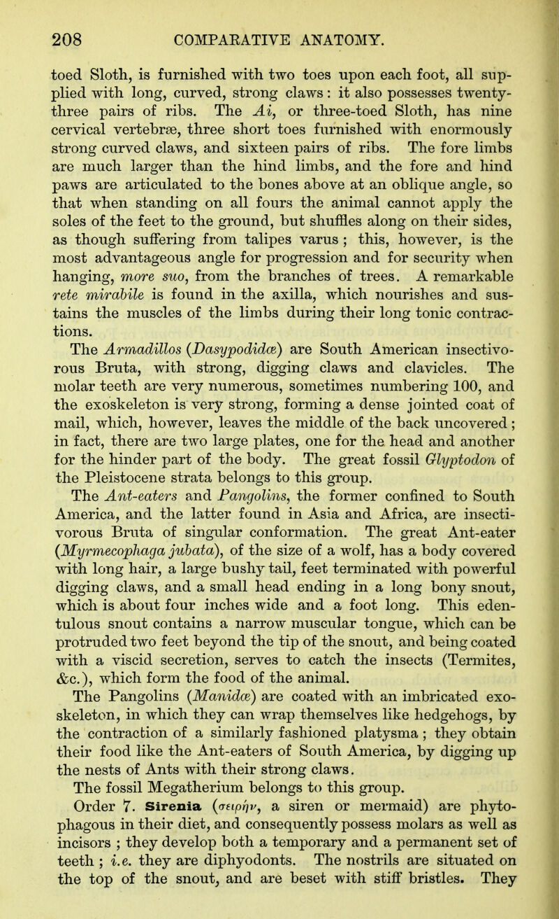 toed Sloth, is furnished with two toes upon each foot, all sup- plied with long, curved, strong claws: it also possesses twenty- three pairs of ribs. The Ai, or three-toed Sloth, has nine cervical vertebrae, three short toes furnished with enormously- strong curved claws, and sixteen pairs of ribs. The fore limbs are much larger than the hind limbs, and the fore and hind paws are articulated to the bones above at an oblique angle, so that when standing on all fours the animal cannot apply the soles of the feet to the ground, but shuffles along on their sides, as though suffering from talipes varus ; this, however, is the most advantageous angle for progression and for security when hanging, more suo, from the branches of trees. A remarkable rete mirabile is found in the axilla, which nourishes and sus- tains the muscles of the limbs during their long tonic contrac- tions. The Armadillos (Dasypodidm) are South American insectivo- rous Bruta, with strong, digging claws and clavicles. The molar teeth are very numerous, sometimes numbering 100, and the exoskeleton is very strong, forming a dense jointed coat of mail, which, however, leaves the middle of the back uncovered ; in fact, there are two large plates, one for the head and another for the hinder part of the body. The great fossil Glyptodon of the Pleistocene strata belongs to this group. The Ant-eaters and Pangolins^ the former confined to South America, and the latter found in Asia and Africa, are insecti- vorous Bruta of singular conformation. The great Ant-eater {Myrmecophaga juhata), of the size of a wolf, has a body covered with long hair, a large bushy tail, feet terminated with powerful digging claws, and a small head ending in a long bony snout, which is about four inches wide and a foot long. This eden- tulous snout contains a narrow muscular tongue, which can be protruded two feet beyond the tip of the snout, and being coated with a viscid secretion, serves to catch the insects (Termites, &c.), which form the food of the animal. The Pangolins (Manidce) are coated with an imbricated exo- skeleton, in which they can wrap themselves like hedgehogs, by the contraction of a similarly fashioned platysma; they obtain their food like the Ant-eaters of South America, by digging up the nests of Ants with their strong claws. The fossil Megatherium belongs to this group. Order 7. Sirenia {a-nprjv, a siren or mermaid) are ph5rfco- phagous in their diet, and consequently possess molars as well as incisors ; they develop both a temporary and a permanent set of teeth ; i.e. they are diphyodonts. The nostrils are situated on the top of the snout^ and are beset with stiff bristles. They