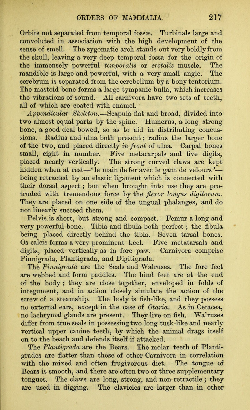 Orbits not separated from temporal fossae. Turbinals large and convoluted in association with the high development of the sense of smell. The zygomatic arch stands out very boldly from the skull, leaving a very deep temporal fossa for the origin of the immensely powerful temporalis or crotalis muscle. The mandible is large and powerful, with a very small angle. The cerebrum is separated from the cerebellum by a bony tentorium. The mastoid bone forms a large tympanic bulla, which increases the vibrations of sound. All carnivora have two sets of teeth,, all of which are coated with enamel. Appendicular Skeleton.—Scapula flat and broad, divided into two almost equal parts by the spine. Humerus, a long strong bone, a good deal bowed, so as to aid in distributing concus- sions. Radius and ulna both present; radius the larger bone of the two, and placed directly in front of ulna. Carpal bones small, eight in number. Five metacarpals and five digits, placed nearly vertically. The strong curved claws are kept hidden when at rest—* le main de fer avec le gant de velours '— being retracted by an elastic ligament which is connected with their dorsal aspect; but when brought into use they are pro- truded with tremendous force by the flexor longus digitorum. They are placed on one side of the ungual phalanges, and do not linearly succeed them. Pelvis is short, but strong and compact. Femur a long and very powerful bone. Tibia and fibula both perfect ; the fibula being placed directly behind the tibia. Seven tarsal bones. Os calcis forms a very prominent keel. Five metatarsals and digits, placed vertically as in fore paw. Carnivora comprise Pinnigrada, Plantigrada, and Digitigrada. The Pinnigrada are the Seals and Walruses. The fore feet are webbed and form paddles. The hind feet are at the end of the body ; they are close together, enveloped in folds of integument, and in action closely simulate the action of the screw of a steamship. The body is fish-like, and they possess no external ears, except in the case of Otaria. As in Cetacea, no lachrymal glands are present. They live on fish. Walruses difier from true seals in possessing two long tusk-like and nearly vertical upper canine teeth, by which the animal drags itself on to the beach and defends itself if attacked. The Plantigrada are the Bears. The molar teeth of Planti- grades are flatter than those of other Carnivora in correlation with the mixed and often frugivorous diet. The tongue of Bears is smooth, and there are often two or three supplementary tongues. The claws are long, strong, and non-retractile ; they are used in digging. The clavicles are larger than in other