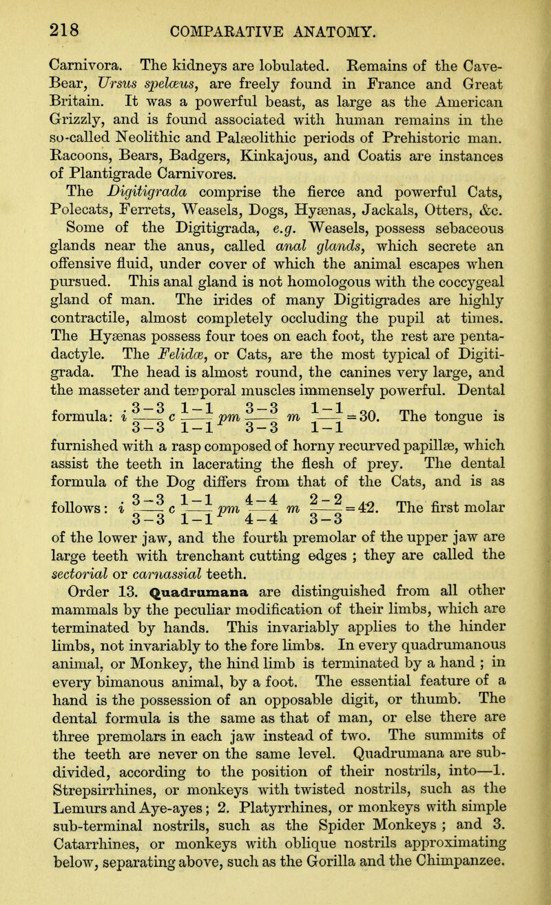 Carnivora. The kidneys are lobulated. Remains of the Cave- Bear, Ursus spelceusj are freely found in France and Great Britain. It was a powerful beast, as large as the American Grizzly, and is found associated with human remains in the so-called Neolithic and Palaeolithic periods of Prehistoric man. Pacoons, Bears, Badgers, Kinkajous, and Coatis are instances of Plantigrade Carnivores. The Digitigrada comprise the fierce and powerful Cats, Polecats, Ferrets, Weasels, Dogs, Hysenas, Jackals, Otters, &c. Some of the Digitigrada, e.g. Weasels, possess sebaceous glands near the anus, called anal glands, which secrete an offensive fluid, under cover of which the animal escapes when pursued. This anal gland is not homologous with the coccygeal gland of man. The irides of many Digitigrades are highly contractile, almost completely occluding the pupil at times. The Hyaenas possess four toes on each foot, the rest are penta- dactyle. The Felidm, or Cats, are the most typical of Digiti- grada. The head is almost round, the canines very large, and the masseter and teir>poral muscles immensely powerful. Dental 3 — 3 1 — 1 3 — 3 1 — 1 formula: i ~—- c —— pm m ^ -30. The tongue is 3-3 1-1^ 3-3 1-1 ^ furnished with a rasp composed of horny recurved papillae, which assist the teeth in lacerating the flesh of prey. The dental formula of the Dog difiers from that of the Cats, and is as follows: i ^— c pm m ?^ = 42. The first molar 3-3 1-1^ 4-4 3-3 of the lower jaw, and the fourth premolar of the upper jaw are large teeth with trenchant cutting edges ; they are called the sectorial or carnassial teeth. Order 13. Quadrumana are distinguished from all other mammals by the peculiar modification of their limbs, which are terminated by hands. This invariably applies to the hinder limbs, not invariably to the fore limbs. In every quadrumanous animal, or Monkey, the hind limb is terminated by a hand ; in every bimanous animal, by a foot. The essential feature of a hand is the possession of an opposable digit, or thumb. The dental formula is the same as that of man, or else there are three premolars in each jaw instead of two. The summits of the teeth are never on the same level. Quadrumana are sub- divided, according to the position of their nostrils, into—1. Strepsirrhines, or monkeys with twisted nostrils, such as the Lemurs and Aye-ayes; 2. Platyrrhines, or monkeys with simple sub-terminal nostrils, such as the Spider Monkeys ; and 3. Catarrhines, or monkeys with oblique nostrils approximating below, separating above, such as the Gorilla and the Chimpanzee.