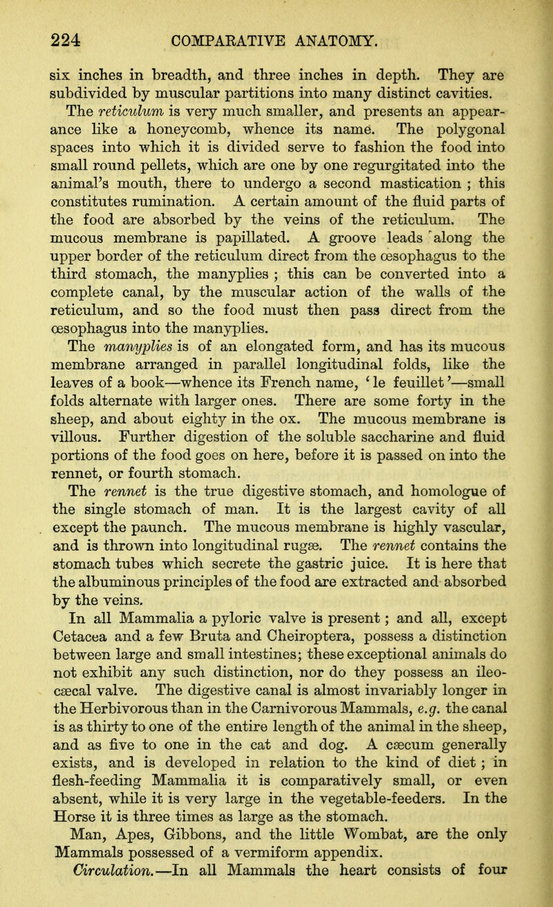 six inches in breadth, and three inches in depth. They are subdivided by muscular partitions into many distinct cavities. The reticulum is very much smaller, and presents an appear- ance like a honeycomb, whence its name. The polygonal spaces into which it is divided serve to fashion the food into small round pellets, which are one by one regurgitated into the animal's mouth, there to undergo a second mastication ; this constitutes rumination. A certain amount of the fluid parts of the food are absorbed by the veins of the reticulum. The mucous membrane is papillated. A groove leads 'along the upper border of the reticulum direct from the oesophagus to the third stomach, the manyplies ; this can be converted into a complete canal, by the muscular action of the walls of the reticulum, and so the food must then pass direct from the oesophagus into the manyplies. The manyplies is of an elongated form, and has its mucous membrane arranged in parallel longitudinal folds, like the leaves of a book—whence its French name, ' le feuillet'—small folds alternate with larger ones. There are some forty in the sheep, and about eighty in the ox. The mucous membrane is villous. Further digestion of the soluble saccharine and fluid portions of the food goes on here, before it is passed on into the rennet, or fourth stomach. The rennet is the true digestive stomach, and homologue of the single stomach of man. It is the largest cavity of all except the paunch. The mucous membrane is highly vascular, and is thrown into longitudinal rugse. The rennet contains the stomach tubes which secrete the gastric juice. It is here that the albuminous principles of the food are extracted and absorbed by the veins. In all Mammalia a pyloric valve is present; and all, except Cetacea and a few Bruta and Cheiroptera, possess a distinction between large and small intestines; these exceptional animals do not exhibit any such distinction, nor do they possess an ileo- csecal valve. The digestive canal is almost invariably longer in the Herbivorous than in the Carnivorous Mammals, e.g. the canal is as thirty to one of the entire length of the animal in the sheep, and as five to one in the cat and dog. A caecum generally exists, and is developed in relation to the kind of diet ; in flesh-feeding Mammalia it is comparatively small, or even absent, while it is very large in the vegetable-feeders. In the Horse it is three times as large as the stomach. Man, Apes, Gibbons, and the little Wombat, are the only Mammals possessed of a vermiform appendix. Circulation.—In all Mammals the heart consists of four