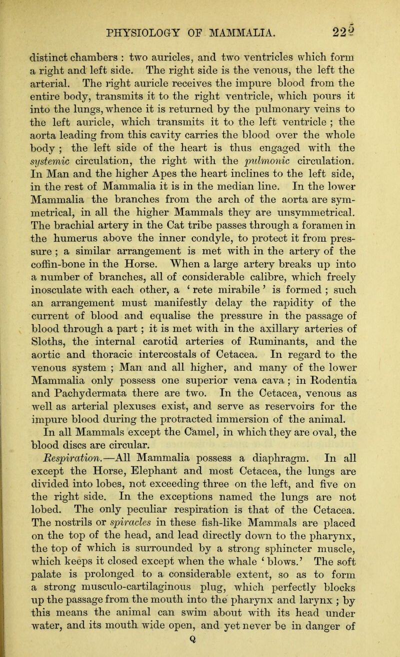 distinct chambers : two auricles, and two ventricles which form a right and left side. The right side is the venous, the left the arterial. The right auricle receives the impure blood from the entire body, transmits it to the right ventricle, which pours it into the lungs, whence it is returned by the pulmonary veins to the left auricle, which transmits it to the left ventricle ; the aorta leading from this cavity carries the blood over the whole body ; the left side of the heart is thus engaged with the systemic circulation, the right with the pulmonic circulation. In Man and the higher Apes the heart inclines to the left side, in the rest of Mammalia it is in the median line. In the lower Mammalia the branches from the arch of the aorta are sym- metrical, in all the higher Mammals they are unsymmetrical. The brachial artery in the Cat tribe passes through a foramen in the humerus above the inner condyle, to protect it from pres- sure ; a similar arrangement is met with in the artery of the coffin-bone in the Horse. When a large artery breaks up into a number of branches, all of considerable calibre, which freely inosculate with each other, a ' rete mirabile' is formed ; such an arrangement must manifestly delay the rapidity of the current of blood and equalise the pressure in the passage of blood through a part; it is met with in the axillary arteries of Sloths, the internal carotid arteries of Ruminants, and the aortic and thoracic intercostals of Cetacea. In regard to the venous system ; Man and all higher, and many of the lower Mammalia only possess one superior vena cava ; in Rodentia and Pachydermata there are two. In the Cetacea, venous as well as arterial plexuses exist, and serve as reservoirs for the impure blood during the protracted immersion of the animal. In all Mammals except the Camel, in which they are oval, the blood discs are circular. Respiration.—All Mammalia possess a diaphragm. In all except the Horse, Elephant and most Cetacea, the lungs are divided into lobes, not exceeding three on the left, and five on the right side. In the exceptions named the lungs are not lobed. The only peculiar respiration is that of the Cetacea. The nostrils or spiracles in these fish-like Mammals are placed on the top of the head, and lead directly down to the pharynx, the top of which is surrounded by a strong sphincter muscle, which keeps it closed except when the whale ^ blows.' The soft palate is prolonged to a considerable extent, so as to form a strong musculo-cartilaginous plug, which perfectly blocks up the passage from the mouth into the pharynx and larynx ; by this means the animal can swim about with its head under water, and its mouth wide open, and yet never be in danger of Q