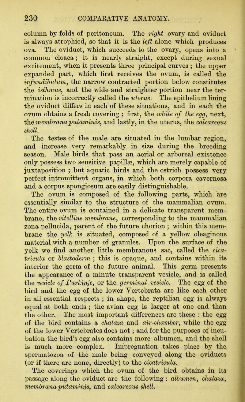 column by folds of peritoneum. The right ovary and oviduct is always atrophied, so that it is the left alone which produces ova. The oviduct, which succeeds to the ovary, opens into a common cloaca ; it is nearly straight, except during sexual excitement, when it presents three principal curves ; the upper expanded part, which first receives the ovum, is called the infundibuluw,, the narrow contracted portion below constitutes the isthmus, and the wide and straighter portion near the ter- mination is incorrectly called the uterus. The epithelium lining the oviduct differs in each of these situations, and in each the ovum obtains a fresh covering ; first, the white of the egg, next, the membrana putaminis, and lastly, in the uterus, the calcareous shell. The testes of the male are situated in the lumbar region, and increase very remarkably in size during the breeding season. Male birds that pass an aerial or arboreal existence only possess two sensitive papillae, which are m^erely capable of juxtaposition ; but aquatic birds and the ostrich possess very perfect intromittent organs, in which both corpora cavernosa and a corpus spongiosum are easily distinguishable. The ovum is composed of the following parts, which are essentially similar to the structure of the mammalian ovum. The entire ovum is contained in a deEcate transparent mem- brane, the vitelline membrane, corresponding to the mammalian zona pellucida, parent of the future chorion ; within this mem- brane the yelk is situated, composed of a yellow oleaginous material with a number of granules. Upon the surface of the yelk we find another little membranous sac, called the cica- tricula or blastoderm ; this is opaque, and contains within its interior the germ of the future animal. This germ presents the appearance of a minute transparent vesicle, and is called the vesicle of Furhinje, or the germinal vesicle. The egg of the bird and the egg of the lower Yertebrata are like each other in all essential respects ; in shape, the reptilian egg is always equal at both ends ; the avian egg is larger at one end than the other. The most important differences are these : the egg of the bird contains a chalaza and air-chamber, while the egg of the lower Yertebrates does not; and for the purposes of incu- bation the bird's egg also contains more albumen, and the shell is much more complex. Impregnation takes place by the spermatozoa of the male being conveyed along the oviducts (or if there are none, directly) to the cicatricula. The coverings which the ovum of the bird obtains in its passage along the oviduct are the following : albumen, chalaza, membrana putaminis, and calcareous shell.