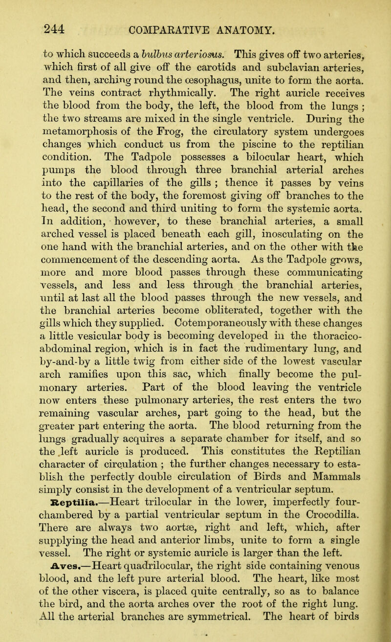 to which succeeds a hulbus arteriosus. This gives off* two arteries, which first of all give off' the carotids and subclavian arteries, and then, arching round the oesophagus, unite to form the aorta. The veins contract rhythmically. The right auricle receives the blood from the body, the left, the blood from the lungs ; the two streams are mixed in the single ventricle. During the metamorphosis of the Frog, the circulatory system undergoes changes which conduct us from the piscine to the reptilian condition. The Tadpole possesses a bilocular heart, which pumps the blood through three branchial arterial arches into the capillaries of the gills ; thence it passes by veins to the rest of the body, the foremost giving off branches to the head, the second and third uniting to form the systemic aorta. In addition, however, to these branchial arteries, a small arched vessel is placed beneath each gill, inosculating on the one hand with the branchial arteries, and on the other with the commencement of the descending aorta. As the Tadpole grows, more and more blood passes through these communicating vessels, and less and less through the branchial arteries, until at last all the blood passes through the new vessels, and the branchial arteries become obliterated, together with the gills which they supplied. Cotemporaneously with these changes a little vesicular body is becoming developed in the thoracico- abdominal region, which is in fact the rudimentary lung, and by-and-by a little twig from either side of the lowest vascular arch ramifies upon this sac, which finally become the pul- monary arteries. Part of the blood leaving the ventricle now enters these pulmonary arteries, the rest enters the two remaining vascular arches, part going to the head, but the greater part entering the aorta. The blood returning from the lungs gradually acquires a separate chamber for itself, and so the left auricle is produced. This constitutes the Reptilian character of circulation ; the further changes necessary to esta- blish the perfectly double circulation of Birds and Mammals simply consist in the development of a ventricular septum. Reptilia.—Heart trilocular in the lower, imperfectly four- chambered by a partial ventricular septum in the Crocodilia. There are always two aortse, right and left, which, after supplying the head and anterior limbs, unite to form a single vessel. The right or systemic auricle is larger than the left. Aves,—Heart quadrilocular, the right side containing venous blood, and the left pure arterial blood. The heart, like most of the other viscera, is placed quite centrally, so as to balance the bird, and the aorta arches over the root of the right lung. All the arterial branches are symmetrical. The heart of birds