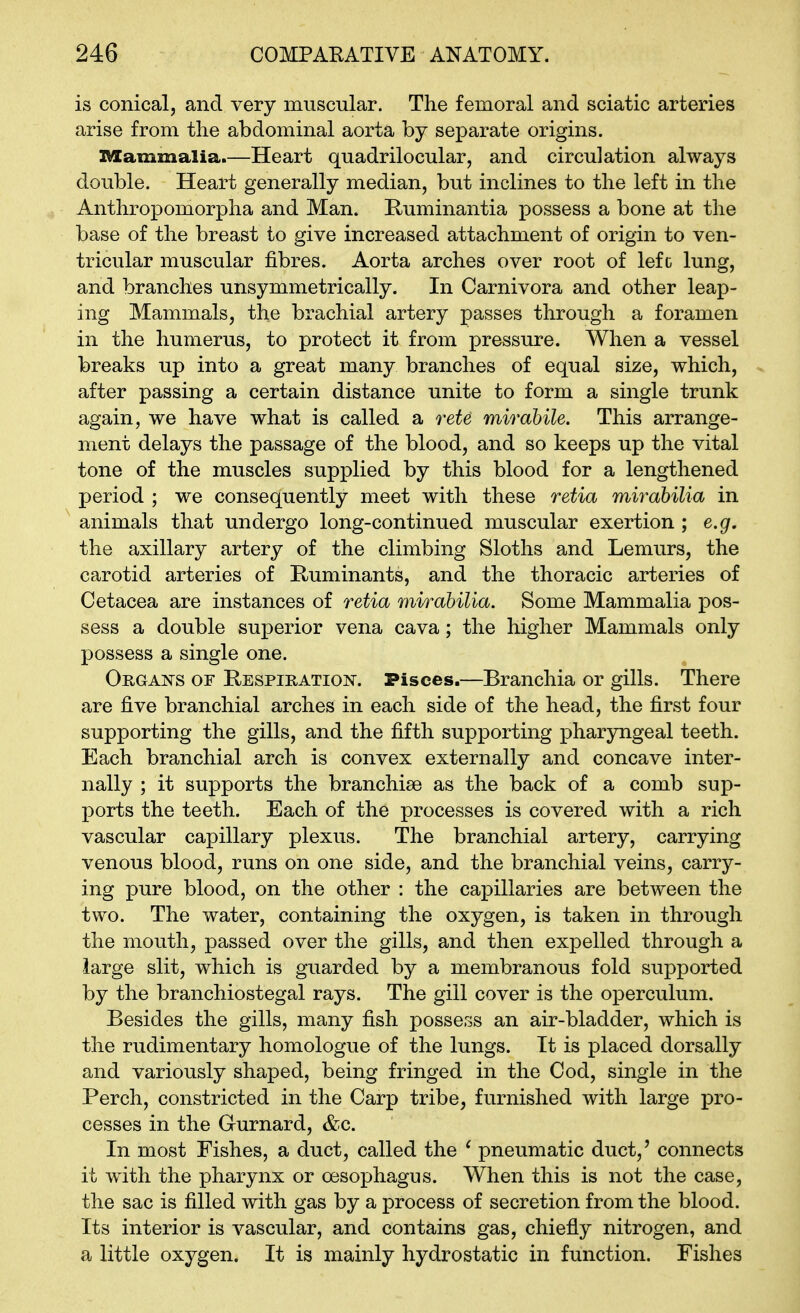 is conical, and very muscular. The femoral and sciatic arteries arise from the abdominal aorta by separate origins. USammalia.—Heart quadrilocular, and circulation always double. Heart generally median, but inclines to the left in the Anthropomorpha and Man. Ruminantia possess a bone at the base of the breast to give increased attachment of origin to ven- tricular muscular fibres. Aorta arches over root of lefc lung, and branches unsymmetrically. In Carnivora and other leap- ing Mammals, the brachial artery passes through a foramen in the humerus, to protect it from pressure. When a vessel breaks up into a great many branches of equal size, which, after passing a certain distance unite to form a single trunk again, we have what is called a rete mirabile. This arrange- ment delays the passage of the blood, and so keeps up the vital tone of the muscles supplied by this blood for a lengthened period ; we consequently meet with these retia mirahilia in animals that undergo long-continued muscular exertion ; e.gr. the axillary artery of the climbing Sloths and Lemurs, the carotid arteries of Ruminants, and the thoracic arteries of Cetacea are instances of retia mirahilia. Some Mammalia pos- sess a double superior vena cava; the higher Mammals only possess a single one. Orgais-s of IlESPiiiATiojsr. Pisces.—Branchia or gills. There are five branchial arches in each side of the head, the first four supporting the gills, and the fifth supporting pharyngeal teeth. Each branchial arch is convex externally and concave inter- nally ; it supports the branchiae as the back of a comb sup- ports the teeth. Each of the processes is covered with a rich vascular capillary plexus. The branchial artery, carrying venous blood, runs on one side, and the branchial veins, carry- ing pure blood, on the other : the capillaries are between the two. The water, containing the oxygen, is taken in through the mouth, passed over the gills, and then expelled through a large slit, which is guarded by a membranous fold supported by the branchiostegal rays. The gill cover is the operculum. Besides the gills, many fish possess an air-bladder, which is the rudimentary homologue of the lungs. It is placed dorsally and variously shaped, being fringed in the Cod, single in the Perch, constricted in the Carp tribe, furnished with large pro- cesses in the Gurnard, &c. In most Fishes, a duct, called the ^ pneumatic duct,' connects it with the pharynx or oesophagus. When this is not the case, the sac is filled with gas by a process of secretion from the blood. Its interior is vascular, and contains gas, chiefly nitrogen, and a little oxygen. It is mainly hydrostatic in function. Fishes