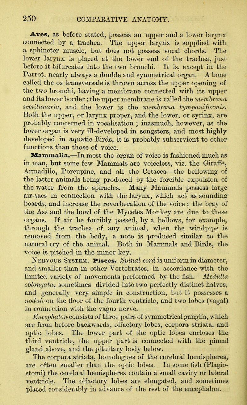 iLves, as before stated, possess an upper and a lower larynx connected by a trachea. The upper larynx is supplied with a sphincter muscle, but does not possess vocal chords. The lower larynx is placed at the lower end of the trachea, just before it bifurcates into the two bronchi. It is, except in the Parrot, nearly always a double and symmetrical organ. A bone called the os transversale is thrown across the upper opening of the two bronchi, having a membrane connected with its upper and its lower border; the upper membrane is called the membrana semilunaria, and the lower is the membrana tympaniformis. Both the upper, or larynx proper, and the lower, or syrinx, are probably concerned in vocalisation ; inasmuch, however, as the lower organ is very ill-developed in songsters, and most highly developed in aquatic Birds, it is probably subservient to other functions than those of voice. Z^ammalia.—In most the organ of voice is fashioned much as in man, but some few Mammals are voiceless, viz. the Giraffe, Armadillo, Porcupine, and all the Cetacea—the bellowing of the latter animals being produced by the forcible expulsion of the water from the spiracles. Many Mammals possess large air-sacs in connection with the larynx, which act as sounding boards, and increase the reverberation of the voice ; the bray of the Ass and the howl of the Mycetes Monkey are due to these organs. If air be forcibly passed, by a bellows, for example, through the trachea of any animal, when the windpipe is removed from the body, a note is produced similar to the natural cry of the animal. Both in Mammals and Birds, the voice is pitched in the minor key. Nervous System. Pisces. Spinal cord is uniform in diameter, and smaller than in other Vertebrates, in accordance with the limited variety of movements performed by the fish. Medulla oblongata, sometimes divided into two perfectly distinct halves, and generally very simple in construction, but it possesses a nodule on the floor of the fourth ventricle, and two lobes (vagal) in connection with the vagus nerve. Encephalon consists of three pairs of symmetrical ganglia, which are from before backwards, olfactory lobes, corpora striata, and optic lobes. The lower part of the optic lobes encloses the third ventricle, the upper part is connected with the pineal gland above, and the pituitary body below. The corpora striata, homologues of the cerebral hemispheres, are often smaller than the optic lobes. In some fish (Plagio- stomi) the cerebral hemispheres contain a small cavity or lateral ventricle. The olfactory lobes are elongated, and sometimes placed considerably in advance of the rest of the encephalon.