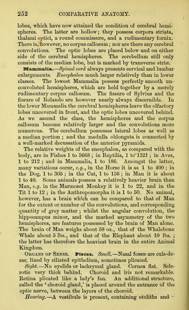 lobes, which have now attained the condition of cerebral hemi- spheres. The latter are hollow; they possess corpora striata, thalami optici, a round commissure, and a rudimentary fornix. There is, however, no corpus callosum; nor are there any cerebral convolutions. The optic lobes are placed below and on either side of the cerebral hemispheres. The cerebellum still only consists of the median lobe, but is marked by transverse striae. Mammalia.—Spinal cord always presents cervical and lumbar enlargements. Encephalon much larger relatively than in lower classes. The lowest Mammalia possess perfectly smooth un- convoluted hemispheres, which are held together by a merely rudimentary corpus callosum. The fissure of Sylvius and the fissure of Rolando are however nearly always discernible. In the lower Mammalia the cerebral hemispheres leave the olfactory lobes uncovered in front, and the optic lobes uncovered behind. As we ascend the class, the hemispheres and the corpus callosum become relatively larger and the convolutions more numerous. The cerebellum possesses lateral lobes as well as a median portion ; and the medulla oblongata is connected by a well-marked decussation of the anterior pyramids. The relative weights of the encephalon, as compared with the body, are in Fishes 1 to 5668 ; in ReptiUa, 1 to 1323 ; in Aves, 1 to 212 ; and in Mammalia, 1 to 186. Amongst the latter, many variations occur, e.g., in the Horse it is as 1 to 400 ; in the Dog, 1 to 305 ; in the Cat, 1 to 156 ; in Man it is about 1 to 40. Some animals possess a relatively heavier brain than Man, e.g. in the Marmoset Monkey it is 1 to 22, and in the Tit 1 to 12 ; in the Anthropomorpha it is 1 to 50. No animal, however, has a brain which can be compared to that of Man for the extent or number of the convolutions, and corresponding quantity of grey matter ; whilst the angular convolution, the hippocampus minor, and the marked asymmetry of the two hemispheres, are features possessed by the brain of Man alone. The brain of Man weighs about 58 oz., that of the Whalebone Whale about 5 lbs., and that of the Elephant about 10 lbs. ; the latter has therefore the heaviest brain in the entire Animal Kingdom. Organs of Sense. Pisces. Smell.—Nasal fossae are culs-de- sac, lined by ciliated epithelium, sometimes plicated. Sight.—No eyelids or lachrymal gland. Cornea flat. Scle- rotic very thick behind. Choroid and iris not remarkable. Retina plicated like a lady's fan. An additional structure, called the * choroid gland,' is placed around the entrance of the optic nerve, between the layers of the choroid. Hearing.—-A vestibule is present, containing otoliths and -