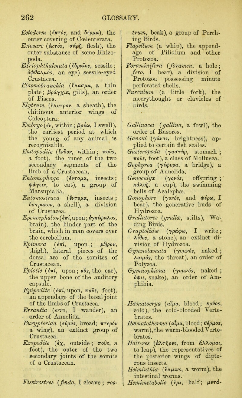 Ectoderm (iKros, and 5ep/xa), the outer covering of Ccelenterata. Ectosarc {^ktos, (rdp^, flesh), the outer substance of some Bhizo- poda. Edriophtkalmata (ISpaTos, sessile: 6(f)da\/jL6?, an eye) sessile-eyed Crustacea. Elasmohranchia (%Ka(rfjLa. a thin plate; )8pa7Xia, giUs), an order of Pisces. Elytrum {^Xvrpov, a sheath), the chitinous anterior wings of Coleoptera. Embryo {iv, within; /Bpuw, I swell), the earliest period at which the young of any animal is recognisable. Endopodite {eydov, within; ttovs, SL foot), the inner of the two secondary segments of the limb of a Crustacean. Entomophaga {evrofxa, insects; (pdyeiu, to eat), a group of Marsupialia. Entomostraca {evroixa, insects ; oarpuKoi/, a shell), a division of Crustacea. Epencephalon (eVijUpon; iyK€(pa\os, brain), the hinder part of the brain, which in man covers over the cerebellum. Epimera (eVi, upon ; (J-Vpov, thigh), lateral pieces of the dorsal arc of the somites of Crustacean. Epiotic (eTTi, upon ; oSs, the ear), the upper bone of the auditory capsule. Epipodite (eVt, upon, ttovs, foot), an appendage of the basal joint of the limbs of Crustacea. Errantia (erro, I wander), an I order of Annelida. Eurypterida (evpvs, broad; irrepdv a wing), an extinct group of Crustacea. Exopodite (ex, outside; ttovs, a foot), the outer of the two secondary joints of the somite of a Crustacean. Fissirostres {findoj I cleave ; ros- trum, beak), a group of Perch- ing Birds. Flagell'iim (a whip), the append- age of Pilidium and other Protozoa. Foraminifera {foramen, a hole; fero, I bear), a division of Protozoa possessing minute perforated shells. Furculum (a little fork), the merrythought or clavicles of birds. Gallinacei {gallina, a fowl), the order of Rasores. Granoid (ydvos, brightness), ap- plied to certain fish scales. Gasteropoda (yaa-r-np, stomach ; TTOVS, foot), a class of Mollusca. Gephyrea {yecpvpa, a bridge), a group of Annelida. Genocalyx {yovos, offspring ; KaXv^, a cup), the swimming bells of Acalephse. Gono'phore {^ovos, and ^epa>, I bear), the generative buds of Hydrozoa. Grallatores (grallce, stilts). Wa- ding Birds. GraptolidcB (ypd(poo, I write; Xidos, a stone), an extinct di- vision of Hydrozoa. Gymnoloemata {yvfxvos, naked ; }\0Liix6s, the throat), an order of Polyzoa. Gymnophiona {yv{xv6s, naked ; o<pis, snake), an order of Am- phibia. HcBmatocrya {aXjxa, blood; Kpvos, cold), the cold-blooded Verte- brates. HcBmatotherma (aTjUa,blood; Oepfxos, warm), the warm-blooded Verte- brates. Halteres (aArrjpey, from 6.X\ofiai, to leap), the representatives of the posterior wings of dipte- rous insects. Helminthics (eA/jLLvs, a worm), the intestinal worms. Hemimetabolic (e/it, half; fierd-