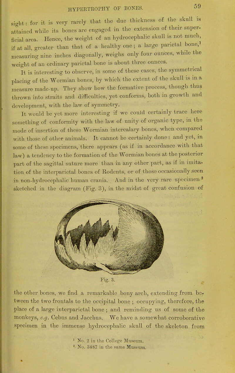 sight: for it is very rarely that the due thickness of the skull is attained while its bones are engaged in the extension of their super- ficial area. Hence, the weight of an hydrocephalic skull is not much, if at all, greater than that of a healthy one; a large parietal bone,' measuring nine inches diagonally, weighs only four ounces, while the weight of an ordinary parietal bone is about three ounces. It is interesting to observe, in some of these cases, the symmetrical placing of the Wormian bones, by which the extent of the skull is in a measure made-up. They show how the formative process, though thus thrown into straits and difficulties, yet conforms, both in growth and development, with the law of symmetry. It would be yet more interesting if we could certainly trace here something of conformity with the law of unity of organic type, in the mode of insertion of these Wormian intercalary bones, when compared with those of other animals. It cannot be certainly done : and yet, m some of these specimens, there appears (as if in accordance with that law) a tendency to the formation of the Wormian bones at the posterior part of the sagittal suture more than in any other part, as if in imita- tion of the interparietal bones of Rodents, or of those occasionally seen in non-hydrocephalic human crania. And in the very rare specimen 2 sketched in the diagram (Fig. 3), in the midst of great confusion of Fig. 3. the other bones, we find a remarkable bony arch, extending from be- tween the two frontals to the ocqipital bone ; occupying, therefore, the place of a large interparietal bone ; and reminding us of some of the monkeys, e.g. Ccbus and Jacchus. We have a somewhat corroborative specimen in the immense hydrocephalic skull of the skeleton from 1 No. 2 in tho College Museum. *• No. 3487 in Hit' witiie Museum.