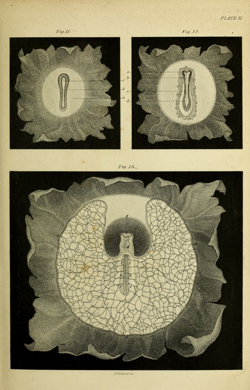 I'LATE 71 F/i/J-/ Fig . 2:.' Fig. 23