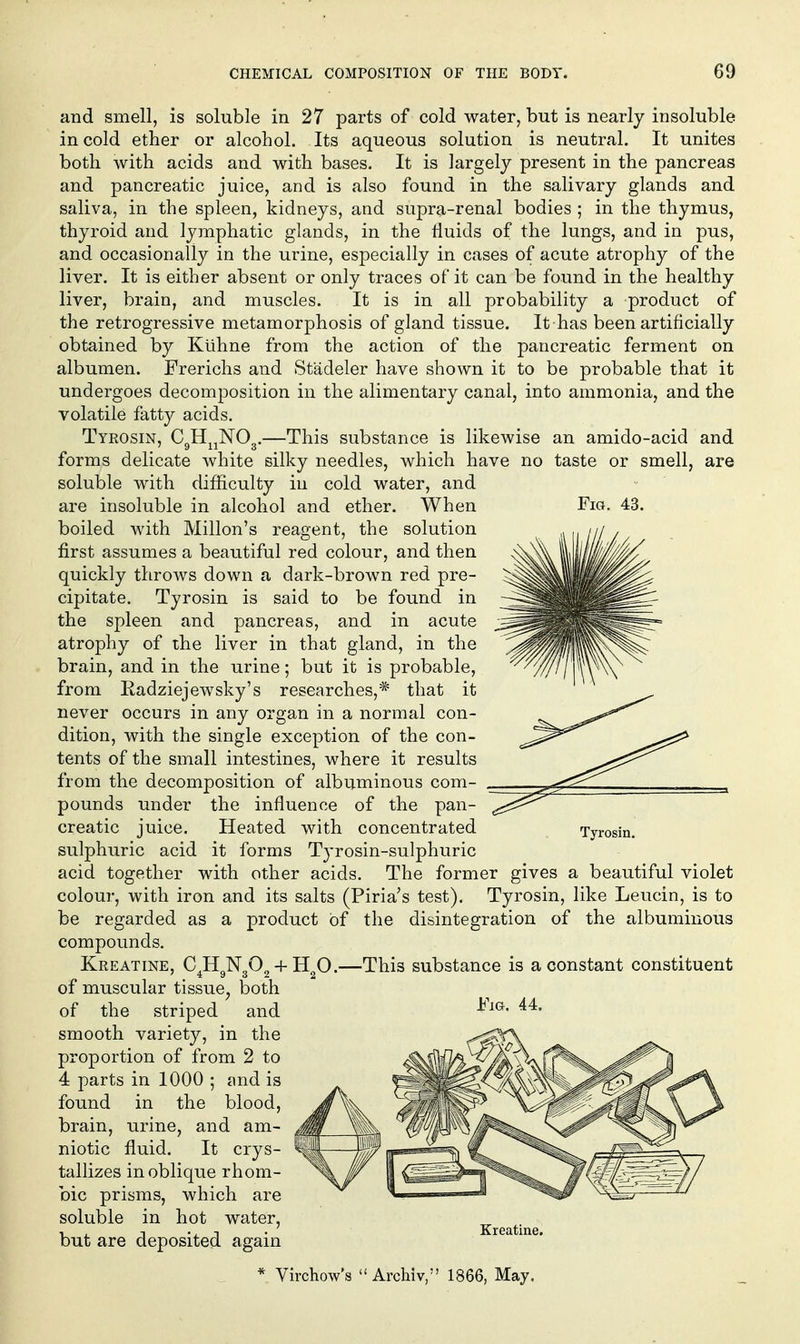 and smell, is soluble in 27 parts of cold water, but is nearly insoluble in cold ether or alcohol. Its aqueous solution is neutral. It unites both Avith acids and with bases. It is largely present in the pancreas and pancreatic juice, and is also found in the salivary glands and saliva, in the spleen, kidneys, and supra-renal bodies ; in the thymus, thyroid and lymphatic glands, in the fluids of the lungs, and in pus, and occasionally in the urine, especially in cases of acute atrophy of the liver. It is either absent or only traces of it can be found in the healthy liver, brain, and muscles. It is in all probability a product of the retrogressive metamorphosis of gland tissue. It has been artificially obtained by Kuhne from the action of the pancreatic ferment on albumen. Frerichs and Stadeler have shown it to be probable that it undergoes decomposition in the alimentary canal, into ammonia, and the volatile fatty acids. Tyrosin, CgH^jNOg.—This substance is likewise an amido-acid and forms delicate white silky needles, which have no taste or smell, are soluble with difficulty in cold water, and are insoluble in alcohol and ether. When Fia. 43. boiled with Millon's reagent, the solution first assumes a beautiful red colour, and then quickly throws down a dark-brown red pre- cipitate. Tyrosin is said to be found in the spleen and pancreas, and in acute atrophy of the liver in that gland, in the brain, and in the urine; but it is probable, from Radziejewsky's researches,* that it never occurs in any organ in a normal con- dition, with the single exception of the con- tents of the small intestines, where it results from the decomposition of albuminous com- pounds under the influence of the pan- ^ ~~ creatic juice. Heated with concentrated Tyrosin. sulphuric acid it forms Tyrosin-sulphuric acid together with other acids. The former gives a beautiful violet colour, with iron and its salts (Piria's test). Tyrosin, like Leucin, is to be regarded as a product of the disintegration of the albuminous compounds. Kreatine, C^HgNgO^ + HgO.—This substance is a constant constituent of muscular tissue^ both of the striped and smooth variety, in the proportion of from 2 to 4 parts in 1000 ; and is found in the blood, brain, urine, and am- niotic fluid. It crys- tallizes in oblique rhom- bic prisms, which are soluble in hot water, but are deposited again * Virchow's  Archiv, 1866, May. J^'iG. 44. Kreatine.