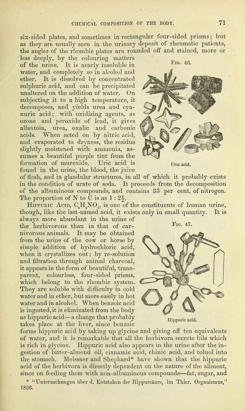 Uric acid. six-sided plates, and sometimes in rectangular four-sided prisms; but as tliey are usually seen in the urinary deposit of rheumatic patients, the angles of the rhombic plates are rounded off and stained, more or less deeply, by the colouring matters of the urine. It is nearly insoluble in water, and completely so in alcohol and ether. It is dissolved by concentrated sulphuric acid, and can be precipitated unaltered on the addition of water. On subjecting it to a high temperature, it decomposes, and yields urea and cya- nuric acid; with oxidizing agents, as ozone and peroxide of lead, it gives allantoin, urea, oxalic and carbonic acids. When acted on by nitric acid, and evaporated to dryness, the residue slightly moistened Avith ammonia, as- sumes a beautiful purj^le tint from the formation of murexide. Uric acid is found in the urine, the blood, the juice of flesh, and in glandular structures, in all of which it probably exists in the condition of urate of soda. It proceeds from the decomposition of the albuminous compounds, and contains 33 per cent, of nitrogen. The proportion of N to C is as 1: 2^. HippuRiG Acid, CgHgNOg, is one of the constituents of human urine, though, like the last-named acid, it exists only in small quantity. It is always more abundant in the urine of the herbivorous than in that of car- nivorous animals. It may be obtained from the urine of the cow or horse by simple addition of hydrochloric acid, when it crystallizes out; by re-solution and filtration through animal charcoal, it appears in the form of beautiful, trans- parent, colourless, four-sided prisms, which belong to the rhombic system. They are soluble with difficulty in cold water and in ether, but more easily in hot water and in alcohol. When benzoic acid is ingested, it is eliminated from the body as hippuric acid—a change that probably takes place at the liver, since benzoic forms hippuric acid by taking up glycine and giving off ten equivalents of water, and it is remarkable that all the herbivora secrete bile which is rich in glycine. Hippuric acid also appears in the urine after the in- gestion of bitter-almond oil, cinnamic acid, chinic acid, and toluol into the stomach. Meissner and Shephard* have shown that the hippuric acid of the herbivora is directly dependent on the nature of the aliment, since on feeding them with non-albuminous compounds—fat, sugar, and *  Untersucliungen liber d. Entstehen der Hippursaure, im Thier. Organismus, 1866. Fig. 47. Hippuric acid.