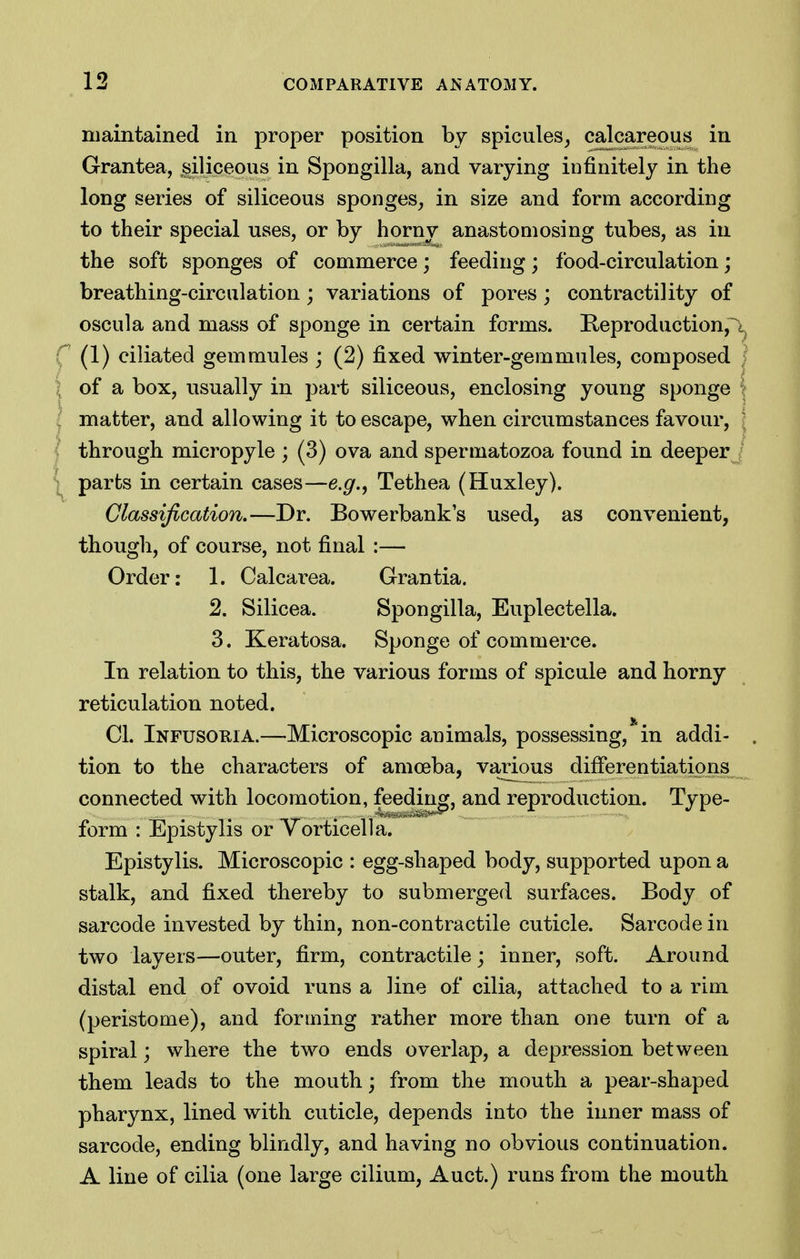 maintained in proper position by spicules^ calcareous in Grantea, siliceous in Spongilla, and varying infinitely in the long series of siliceous sponges^ in size and form according to their special uses, or by horiw anastomosing tubes, as in the soft sponges of commerce; feeding; food-circulation; breathing-circulation; variations of pores; contractility of oscula and mass of sponge in certain forms. Keproduction,^ (1) ciliated gem mules ; (2) fixed winter-gem mules, composed of a box, usually in part siliceous, enclosing young sponge matter, and allowing it to escape, when circumstances favour, through micropyle ; (3) ova and spermatozoa found in deeper parts in certain cases—e.g., Tethea (Huxley). Classification,—Dr. Bowerbank's used, as convenient, though, of course, not final :— Order: 1. Calcarea. Grantia. 2. Silicea. Spongilla, Euplectella. 3. Keratosa. Sponge of commerce. In relation to this, the various forms of spicule and horny reticulation noted. CI. Infusoria.—Microscopic animals, possessing, in addi- tion to the characters of amoeba, various differentiations connected with locomotion, feeding, and reproduction. Type- form : Epistylis or Vorticella. Epistylis. Microscopic : egg-shaped body, supported upon a stalk, and fixed thereby to submerged surfaces. Body of sarcode invested by thin, non-contractile cuticle. Sarcode in two layers—outer, firm, contractile j inner, soft. Around distal end of ovoid runs a line of cilia, attached to a rim (peristome), and forming rather more than one turn of a spiral; where the two ends overlap, a depression between them leads to the mouth; from the mouth a pear-shaped pharynx, lined with cuticle, depends into the inner mass of sarcode, ending blindly, and having no obvious continuation. A line of cilia (one large cilium, Auct.) runs from the mouth