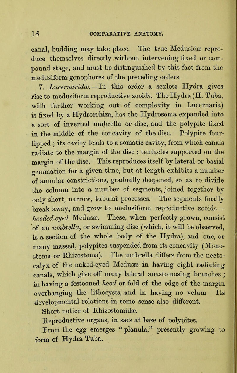 canal, budding may take place. The true Medusidae repro- duce themselves directly without intervening fixed or com- pound stage, and must be distinguished by this fact from the medusiform gonophores of the preceding orders. 7. Lucernaridce.—In this order a sexless Hydra gives rise to medusiform reproductive zooids. The Hydra (H. Tuba, with further working out of complexity in Lucernaria) is fixed by a Hydrorrhiza, has the Hydrosoma expanded into a sort of inverted umbrella or disc, and the polypite fixed in the middle of the concavity of the disc. Polypite four- lipped ; its cavity leads to a somatic cavity, from which canals radiate to the margin of the disc : tentacles supported on the margin of the disc. This reproduces itself by lateral or basial gemmation for a given time, but at length exhibits a number of annular constrictions, gradually deepened, so as to divide the column into a number of segments, joined together by only short, narrow, tubular processes. The segments finally break away, and grow to medusiform reproductive zooids — hooded-eyed Medusae. These, when perfectly grown, consist of an umbrella J or swimming disc (which, it will be observed, is a section of the whole body of the Hydra), and one, or many massed, polypites suspended from its concavity (Mono- stoma or Rhizostoma). The umbrella differs from the necto- ealyx of the naked-eyed Medusse in having eight radiating canals, which give off many lateral anastomosing branches ; in having a festooned hood or fold of the edge of the margin overhanging the lithocysts, and in having no velum Its developmental relations in some sense also different. Short notice of Rhizostomidse. Reproductive organs, in sacs at base of polypites. From the egg emerges  planula/' presently growing to form of Hydra Tuba.