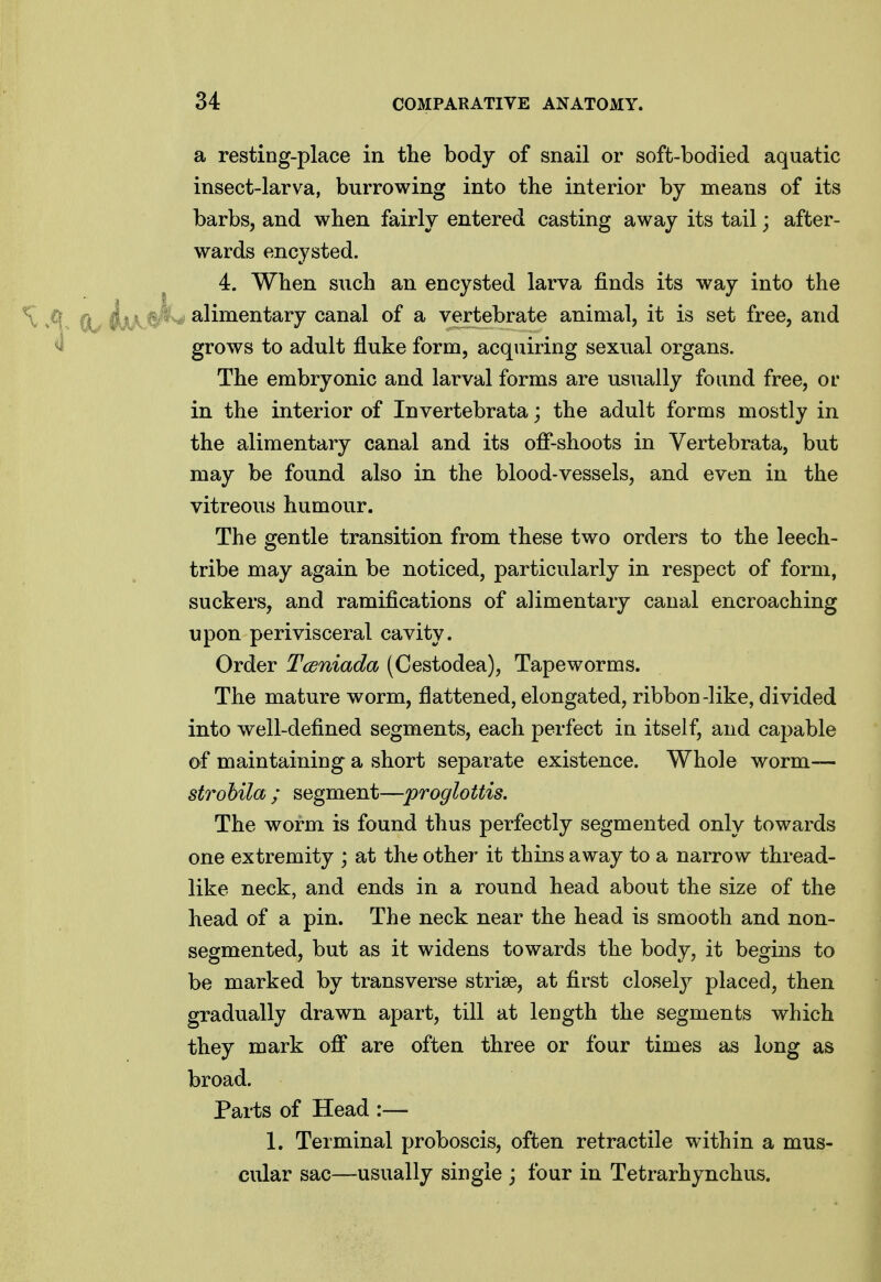 a resting-place in the body of snail or soft-bodied aquatic insect-larva, burrowing into the interior by means of its barbs, and when fairly entered casting away its tail; after- wards encysted. 4. When such an encysted larva finds its way into the ^ 1^ ^V^^^ alimentary canal of a vertebrate animal, it is set free, and ^ grows to adult fluke form, acquiring sexual organs. The embryonic and larval forms are usually found free, or in the interior of Invertebrata; the adult forms mostly in the alimentary canal and its ofi*-shoots in Vertebrata, but may be found also in the blood-vessels, and even in the vitreous humour. The gentle transition from these two orders to the leech- tribe may again be noticed, particularly in respect of form, suckers, and ramifications of alimentary canal encroaching upon perivisceral cavity. Order Tceniada (Cestodea), Tapeworms. The mature worm, flattened, elongated, ribbon-like, divided into well-defined segments, each perfect in itself, and capable of maintaining a short separate existence. Whole worm— strohila ; segment—proglottis. The worm is found thus perfectly segmented only towards one extremity ; at the other it thins away to a narrow thread- like neck, and ends in a round head about the size of the head of a pin. The neck near the head is smooth and non- segmented, but as it widens towards the body, it begins to be marked by transverse striae, at first closety placed, then gradually drawn apart, till at length the segments which they mark ofl' are often three or four times as long as broad. Parts of Head :— 1. Terminal proboscis, often retractile within a mus- cular sac—usually single ; four in Tetrarhynchus.