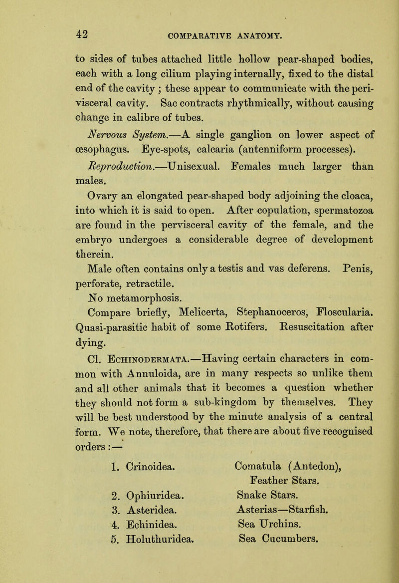 to sides of tubes attached little hollow pear-shaped bodies, each with a long cilium playing internally, fixed to the distal end of the cavity; these appear to communicate with the peri- visceral cavity. Sac contracts rhythmically, without causing change in calibre of tubes. Nervous System.—A single ganglion on lower aspect of cesophagus. Eye-spots, calcaria (antenniform processes). Reproduction.—^Unisexual. Females much larger than males. Ovary an elongated pear-shaped body adjoining the cloaca, into which it is said to open. After copulation, spermatozoa are found in the pervisceral cavity of the female, and the embryo undergoes a considerable degree of development therein. Male often contains only a testis and vas deferens. Penis, perforate, retractile. Ko metamorphosis. Compare briefly, Melicerta, Stephanoceros, Floscularia. Quasi-parasitic habit of some Kotifers. Resuscitation after CI. EcHiNODERMATA.—Having certain characters in com- mon with A nnuloida, are in many respects so unlike them and all other animals that it becomes a question whether they should not form a sub-kingdom by themselves. They will be best understood by the minute analysis of a central form. We note, therefore, that there are about five recognised orders:— 1. Crinoidea. Comatula (Antedon), dying. 5. Holuthuridea. 2. Ophiuridea, 3. Asteridea. 4. Echinidea. Feather Stars. Snake Stars. Ast erias—Starfish. Sea Urchins. Sea Cucumbers.