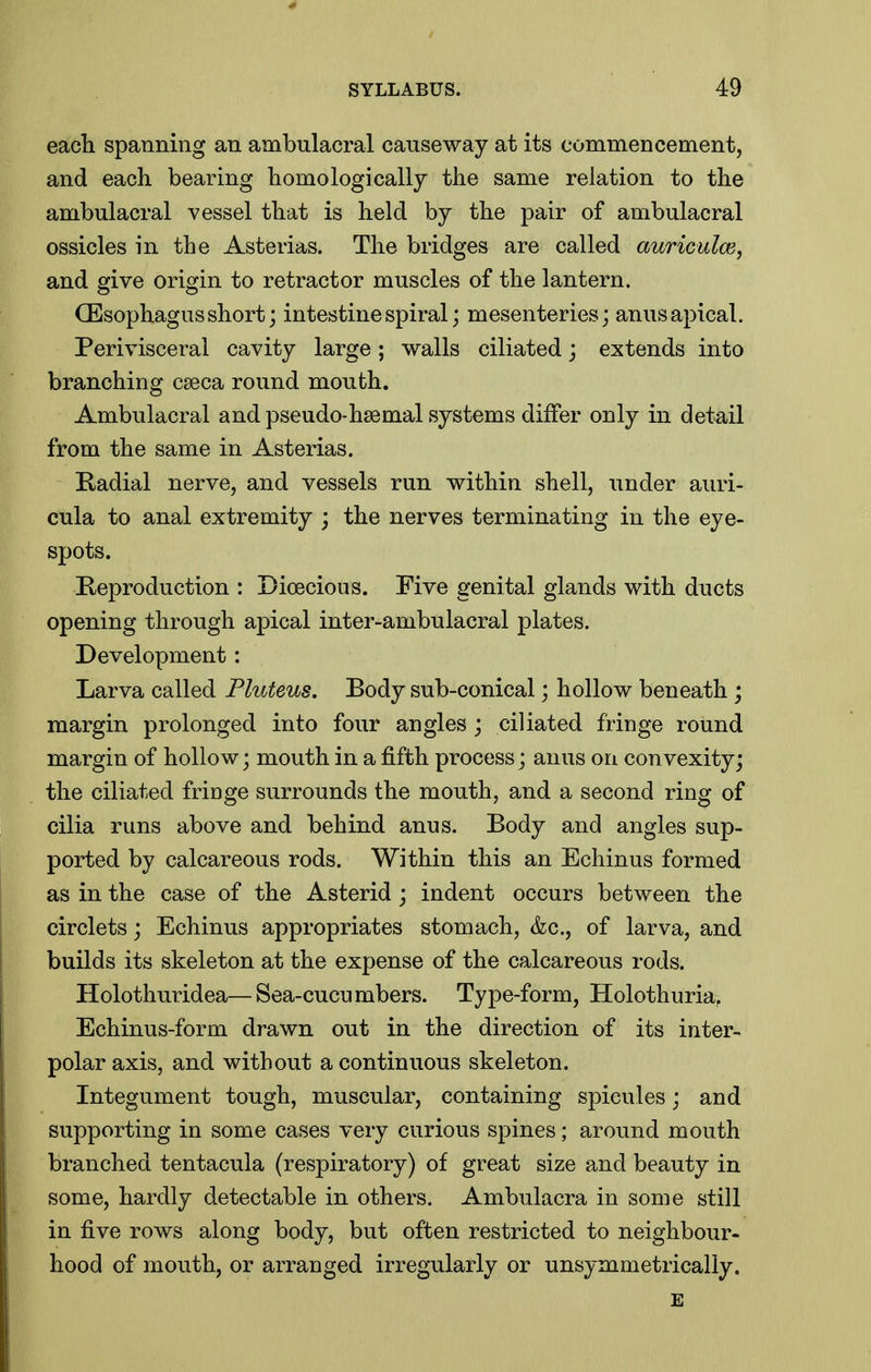 eacli spanning an ambulacra! causeway at its commencement, and each bearing homo logically the same relation to the ambulacral vessel that is held by the pair of ambulacral ossicles in the Asterias. The bridges are called auriculae, and give origin to retractor muscles of the lantern. CEsophagus short; intestine spiral; mesenteries; anus apical. Perivisceral cavity large; walls ciliated; extends into branching C8eca round mouth. Ambulacral and pseudo-haemal systems differ only in detail from the same in Asterias. Kadial nerve, and vessels run within shell, under auri- cula to anal extremity ; the nerves terminating in the eye- spots. Reproduction : Dioecious. Five genital glands with ducts opening through apical inter-ambulacral plates. Development: Larva called Pluteus, Body sub-conical; hollow beneath; margin prolonged into four angles ; ciliated fringe round margin of hollow; mouth in a fifth process; anus on convexity; the ciliated fringe surrounds the mouth, and a second ring of cilia runs above and behind anus. Body and angles sup- ported by calcareous rods. Within this an Echinus formed as in the case of the Asterid; indent occurs between the circlets; Echinus appropriates stomach, &c., of larva, and builds its skeleton at the expense of the calcareous rods. Holothuridea—Sea-cucumbers. Type-form, Holothuria, Echinus-form drawn out in the direction of its inter- polar axis, and without a continuous skeleton. Integument tough, muscular, containing spicules; and supporting in some cases very curious spines; around mouth branched tentacula (respiratory) of great size and beauty in some, hardly detectable in others. Ambulacra in some still in five rows along body, but often restricted to neighbour- hood of mouth, or arranged irregularly or unsymmetrically. E