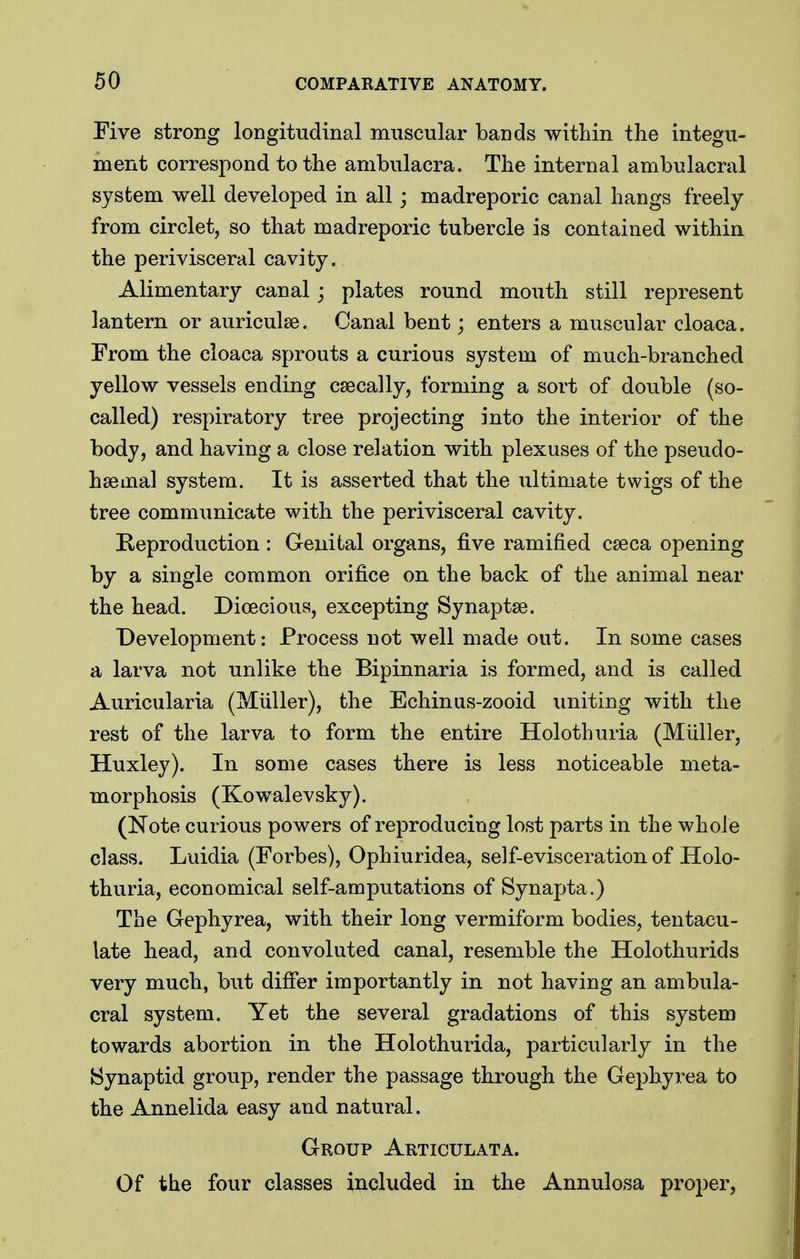 Five strong longitudinal muscular bands within the integu- ment correspond to the ambulacra. The internal ambulacral system well developed in all; madreporic canal hangs freely from circlet, so that madreporic tubercle is contained within the perivisceral cavity. Alimentary canal; plates round mouth still represent lantern or auriculae. Canal bent; enters a muscular cloaca. From the cloaca sprouts a curious system of much-branched yellow vessels ending csecally, forming a sort of double (so- called) respiratory tree projecting into the interior of the body, and having a close relation with plexuses of the pseudo- hsemal system. It is asserted that the ultimate twigs of the tree communicate with the perivisceral cavity. Keproduction : Genital organs, five ramified cseca opening by a single common orifice on the back of the animal near the head. Dioecious, excepting Synaptse. Development: Process not well made out. In some cases a larva not unlike the Bipinnaria is formed, and is called Auricularia (Muller), the Echinus-zooid uniting with the rest of the larva to form the entire Holothuria (Miiller, Huxley). In some cases there is less noticeable meta- morphosis (Kowalevsky). (Note curious powers of reproducing lost parts in the whole class. Luidia (Forbes), Ophiuridea, self-evisceration of Holo- thuria, economical self-amputations of Synapta.) The Gephyrea, with their long vermiform bodies, tentacu- late head, and convoluted canal, resemble the Holothurids very much, but difier importantly in not having an ambula- cral system. Yet the several gradations of this system towards abortion in the Holothurida, particularly in the Synaptid group, render the passage through the Gephyrea to the Annelida easy and natural. Group Articulata. Of the four classes included in the Annulosa proper,