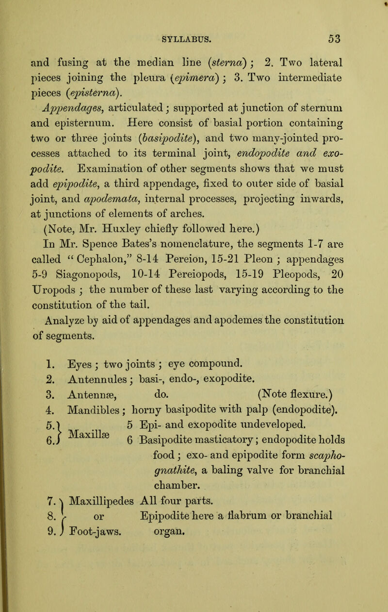 and fusing at the median line (sterna) ; 2. Two lateral pieces joining the pleura {epimera) ; 3. Two intermediate pieces (episterna). Appendages, articulated; supported at junction of sternum and episternuni. Here consist of basial portion containing two or three joints (basipodite), and two many-jointed pro- cesses attached to its terminal joint, endopodite and exo- podite. Examination of other segments shows that we must add epipodite, a third appendage, fixed to outer side of basial joint, and apodemata, internal processes, projecting inwards, at junctions of elements of arches. (Note, Mr. Huxley chiefly followed here.) In Mr. Spence Bates's nomenclature, the segments 1-7 are called  Cephalon, 8-14 Pereion, 15-21 Pleon ; appendages 5-9 Siagonopods, 10-14 Pereiopods, 15-19 Pleopods, 20 TJropods j the number of these last varying according to the constitution of the tail. Analyze by aid of appendages and apodemes the constitution of segments. 1. Eyes ; two joints ; eye compound. 2. Antennules; basi-, endo-, exopodite. 3. Antennae, do. (Note flexure.) 4. Mandibles ; horny basipodite with palp (endopodite). 5. ^) 5 Epi- and exopodite imdeveloped. 6. ) ^^^^^^^ 6 Basipodite masticatory; endopodite holds food; exo- and epipodite form scapho- gnathite, a baling valve for branchial chamber. 7. \ Maxillipedes All four parts. 8. I or Epipodite here a flabrum or branchial 9. j Foot-jaws. organ.