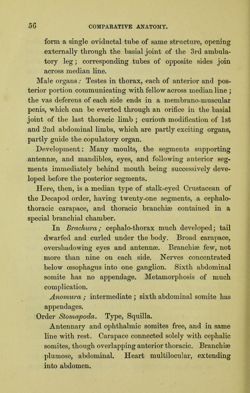 form a single oviductal tube of same structure, opening externally through the basial joint of the 3rd ambula- tory leg; corresponding tubes of opposite sides join across median line. Male organs; Testes in thorax, each of anterior and pos- terior portion communicating with fellow across median line ; the vas deferens of each side ends in a membrano-muscular penis, which can be everted through an orifice in the basial joint of the last thoracic limb ; curiou's modification of Isfc and 2nd abdominal limbs, which are partly exciting organs, partly guide the copulatory organ. Development: Many moults, the segments supporting antennae, and mandibles, eyes, and following anterior seg- ments immediately behind mouth being successively deve- loped before the posterior segments. Here, then, is a median type of stalk-eyed Crustacean of the Decapod order, having twenty-one segments, a cephalo- thoracic carapace, and thoracic branchiae contained in a special branchial chamber. In Brachura; cephalo-thorax much developed; tail dwarfed and curled under the body. Broad carapace, overshadowing eyes and antennae. Branchiae few, not more than nine on each side. Nerves concentrated below oesophagus into one ganglion. Sixth abdominal somite has no appendage. Metamorphosis of much complication. Anomura ; intermediate ; sixth abdominal somite has appendages. Order Stomapoda. Type, Squilla. Antennary and ophthalmic somites free, and in same line with rest. Carapace connected solely with cephalic somites, though overlapping anterior thoracic. Branchiae plumose, abdominal. Heart multilocular, extending into abdomen.