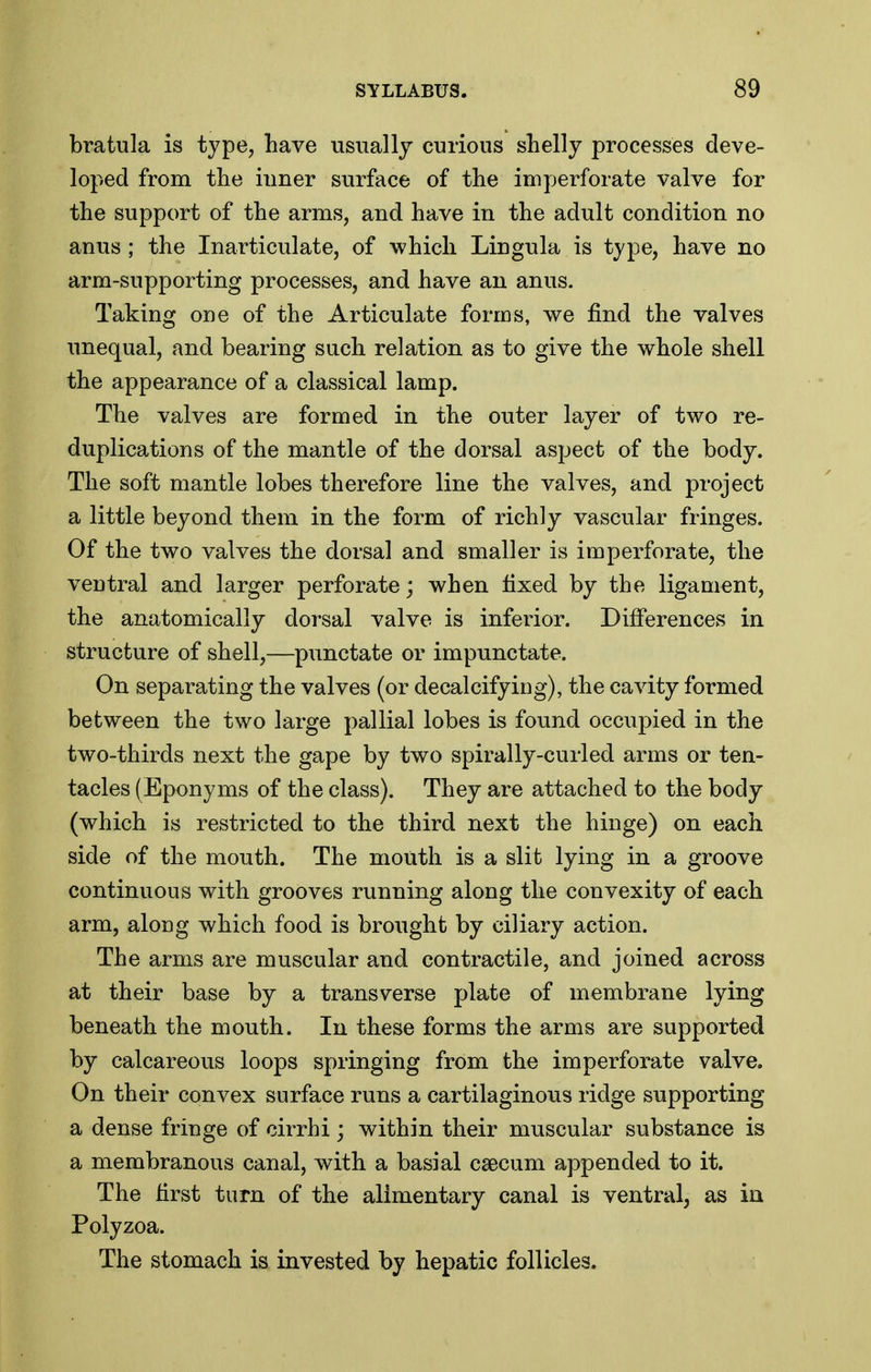 bratula is type, have usually curious shelly processes deve- loped from the inner surface of the imperforate valve for the support of the arms, and have in the adult condition no anus ; the Inarticulate, of which Lingula is type, have no arm-supporting processes, and have an anus. Taking one of the Articulate forms, we find the valves unequal, and bearing such relation as to give the whole shell the appearance of a classical lamp. The valves are formed in the outer layer of two re- duplications of the mantle of the dorsal aspect of the body. The soft mantle lobes therefore line the valves, and project a little beyond them in the form of richly vascular fringes. Of the two valves the dorsal and smaller is imperforate, the ventral and larger perforate; when fixed by the ligament, the anatomically dorsal valve is inferior. Difierences in structure of shell,—punctate or impunctate. On separating the valves (or decalcifying), the cavity formed between the two large pallial lobes is found occupied in the two-thirds next the gape by two spirally-curled arms or ten- tacles (Eponyms of the class). They are attached to the body (which is restricted to the third next the hinge) on each side of the mouth. The mouth is a slit lying in a groove continuous with grooves running along the convexity of each arm, along which food is brought by ciliary action. The arms are muscular and contractile, and joined across at their base by a transverse plate of membrane lying beneath the mouth. In these forms the arms are supported by calcareous loops springing from the imperforate valve. On their convex surface runs a cartilaginous ridge supporting a dense fringe of cirrhi ; within their muscular substance is a membranous canal, with a basial caecum appended to it. The first turn of the alimentary canal is ventral, as ia Polyzoa. The stomach is invested by hepatic follicles.