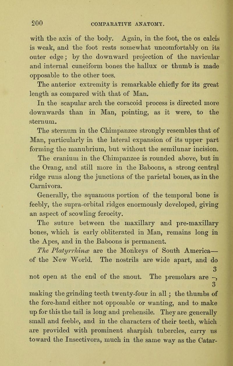 with the axis of the body. Again, in the foot, the os calcis is weak, and the foot rests somewhat nncomfortably on its outer edge; by the downward projection of the navicular and internal cuneiform bones the hallux or thumb is made opposable to the other toes. The anterior extremity is remarkable chiefly for its great length as compared with that of Man. In the scapular arch the coracoid process is directed more downwards than in Man, pointing, as it were, to the sternum. The sternum in the Chimpanzee strongly resembles that of Man, particularly in the lateral expansion of its upper part forming the manubrium, but without the semilunar incision. The cranium in the Chimpanzee is rounded above, but in the Orang, and still more in the Baboons, a strong central ridge runs along the junctions of the parietal bones, as in the Carnivora. Generally, the squamous portion of the temporal bone is feebly, the supra-orbital ridges enormously developed, giving an aspect of scowling ferocity. The suture between the maxillary and pre-maxillary bones, which is early obliterated in Man, remains long in the Apes, and in the Baboons is permanent. The Platyrrliince are the Monkeys of South America— of the New World. The nostrils are wide apart, and do 3 not open at the end of the snout. The premolars are 3 making the grinding teeth twenty-four in all; the thumbs of the fore-hand either not opposable or wanting, and to make up for this the tail is long and prehensile. They are generally small and feeble, and in the characters of their teeth, which are provided with prominent sharpish tubercles, carry us toward the Insectivora, much in the same way as the Catar-