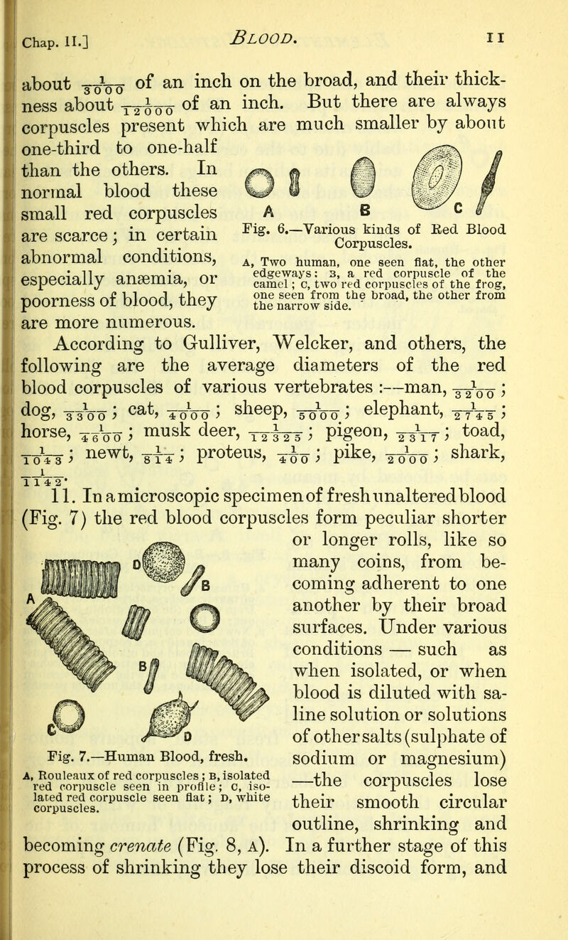 A Fig. 6.- about -aoVo '^^^ broad, and their thick- ness about -12^0 0 i^^^^- always corpuscles present which are much smaller by about one-third to one-half than the others. In normal blood these small red corpuscles are scarce; in certain abnormal conditions, especially anaemia, or poorness of blood, they are more numerous. According to Gulliver, Welcker, and others, the following are the average diameters of the red blood corpuscles of various vertebrates :—man, -gyVo ^ dog, 3 3V0 \ cat, -^oVo ; sheep, ^^Vo ; elephant, ^yV5 ; horse, ^^Vo \ ^^^k deer, ) pigeon, ^-sVy; ^oad, T0V3 ^ ^^^^^ 8T¥; proteus, ; pike, -^oVo i shark, e ^ c Various Muds of Eed Blood Corpuscles. A, Two human, one seen flat, ttie other edgeways: 3, a red corpuscle of the camel; c, two red corpuscles of the frog, one seen from the broad, the other from the narrow side. 11. In a microscopic specimen of fresh unaltered blood (Fig. 7) the red blood corpuscles form peculiar shorter or longer rolls, like so many coins, from be- coming adherent to one another by their broad surfaces, tinder various conditions — such as when isolated, or when blood is diluted with sa- line solution or solutions of other salts (sulphate of sodium or magnesium) —the corpuscles lose their smooth circular outline, shrinking and becoming crenate (Fig. 8, a). In a further stage of this process of shrinking they lose their discoid form, and Human Blood, fresh. A, Rouleaux of red corpuscles; B, Isolated red corpuscle seen in profile; c, iso- lated red corpuscle seen flat; D, white corpuscles.