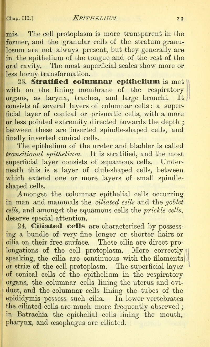 imis. The cell protoplasm is more transparent in the i former, and the granular cells of the stratum granu- llosum are not always present, but they generally are I in the epithelium of the tongue and of the rest of the oral cavity. The most superficial scales show more or less horny transformation. { 23. Stratified columiiar epitiielium is met I I with on the lining membrane of the respiratory 1 i organs, as larynx, trachea, and large bronchi. It | j consists of several layers of columnar cells : a super- I ficial layer of conical or prismatic cells, with a more I or less pointed extremity directed towards the depth ; I between these are inserted spindle-shaped cells, and finally inverted conical cells. The epithelium of the ureter and bladder is called troMsitional ej)ithelium. It is stratified, and the most j superficial layer consists of squamous cells. Under- I neath this is a layer of club-shaped cells, between i which extend one or more layers of small spindle- i shaped cells. Amongst the columnar epithelial cells occurring I in man and mammals the ciliated cells and the goblet j cells, and amongst the squamous cells the prickle cells^ : deserve special attention. 24. CiSiated cells are characterised by possess- ing a bundle of very fine longer or shorter hairs or cilia on their free surface. These cilia are direct pro- longations of the cell protoplasm. More correctly 11 speaking, the cilia are continuous with the filaments j! or striae of the cell protoplasm. The superficial layer of conical cells of the epithelium in the respiratory ! organs, the columnar cells lining the uterus and ovi- 1 duct, and the columnar cells lining the tubes of the epididymis possess such cilia. In lower vertebrates the ciliated cells are much more frequently observed; in Batrachia the epithelial cells lining the mouth, pharynx, and oesophagus are ciliated.