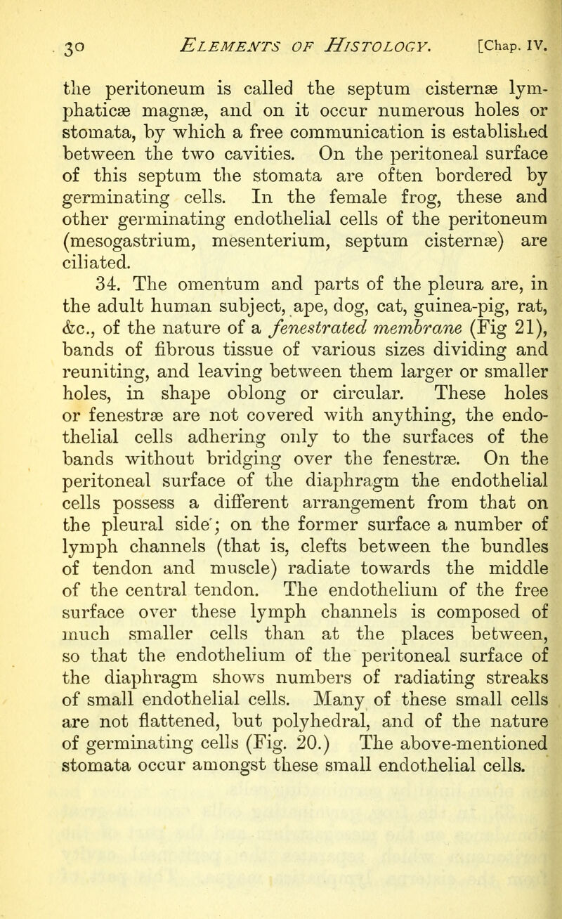 tlie peritoneum is called the septum cisternae Ijm- phaticse magnse, and on it occur numerous holes or stomata, by which a free communication is established between the two cavities. On the peritoneal surface of this septum the stomata are often bordered by germinating cells. In the female frog, these and other germinating endothelial cells of the peritoneum (mesogastrium, mesenterium, septum cisternse) are ciliated. 34. The omentum and parts of the pleura are, in the adult human subject, ape, dog, cat, guinea-pig, rat, &c., of the nature of a fenestrated membrane (Fig 21), bands of fibrous tissue of various sizes dividing and reuniting, and leaving between them larger or smaller holes, in shape oblong or circular. These holes or fenestrse are not covered with anything, the endo- thelial cells adhering only to the surfaces of the bands without bridging over the fenestrse. On the peritoneal surface of the diaphragm the endothelial cells possess a different arrangement from that on the pleural side'; on the former surface a number of lymph channels (that is, clefts between the bundles of tendon and muscle) radiate towards the middle of the central tendon. The endothelium of the free surface over these lymph channels is composed of much smaller cells than at the places between, so that the endothelium of the peritoneal surface of the diaphragm shows numbers of radiating streaks of small endothelial cells. Many of these small cells are not flattened, but polyhedral, and of the nature of germinating cells (Fig. 20.) The above-mentioned stomata occur amongst these small endothelial cells.