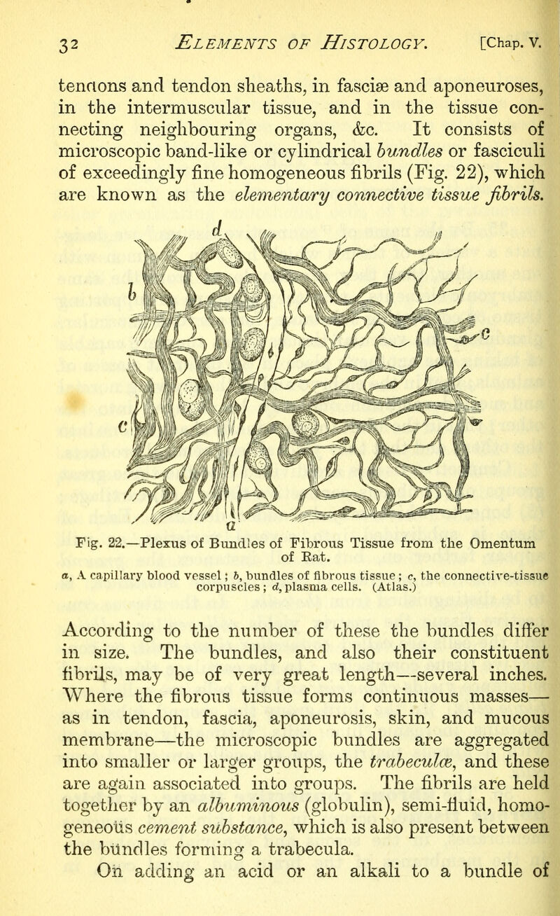 tendons and tendon sheaths, in fasciae and aponeuroses, in the intermuscular tissue, and in the tissue con- necting neighbouring organs, &c. It consists of microscopic band-like or cylindrical bundles or fasciculi of exceedingly fine homogeneous fibrils (Fig. 22), which are known as the elementary connective tissue fibrils. Fig. 22.—Plexus of Bundles of Fibrous Tissue from the Omentum of Eat. a, A capillary blood vessel; h, bundles of fibrous tissue ; c, the connective-tissue corpuscles ; d, plasma cells. (Atlas.) According to the number of these the bundles differ in size. The bundles, and also their constituent fibrils, may be of very great length—several inches. Where the fibrous tissue forms continuous masses— as in tendon, fascia, aponeurosis, skin, and mucous membrane—the microscopic bundles are aggregated into smaller or larger groups, the trabeculce, and these are again associated into groups. The fibrils are held together by an albuminous (globulin), semi-fiuid, homo- geneous cement substance^ which is also present between the bundles forming a trabecula. Oh adding an acid or an alkali to a bundle of