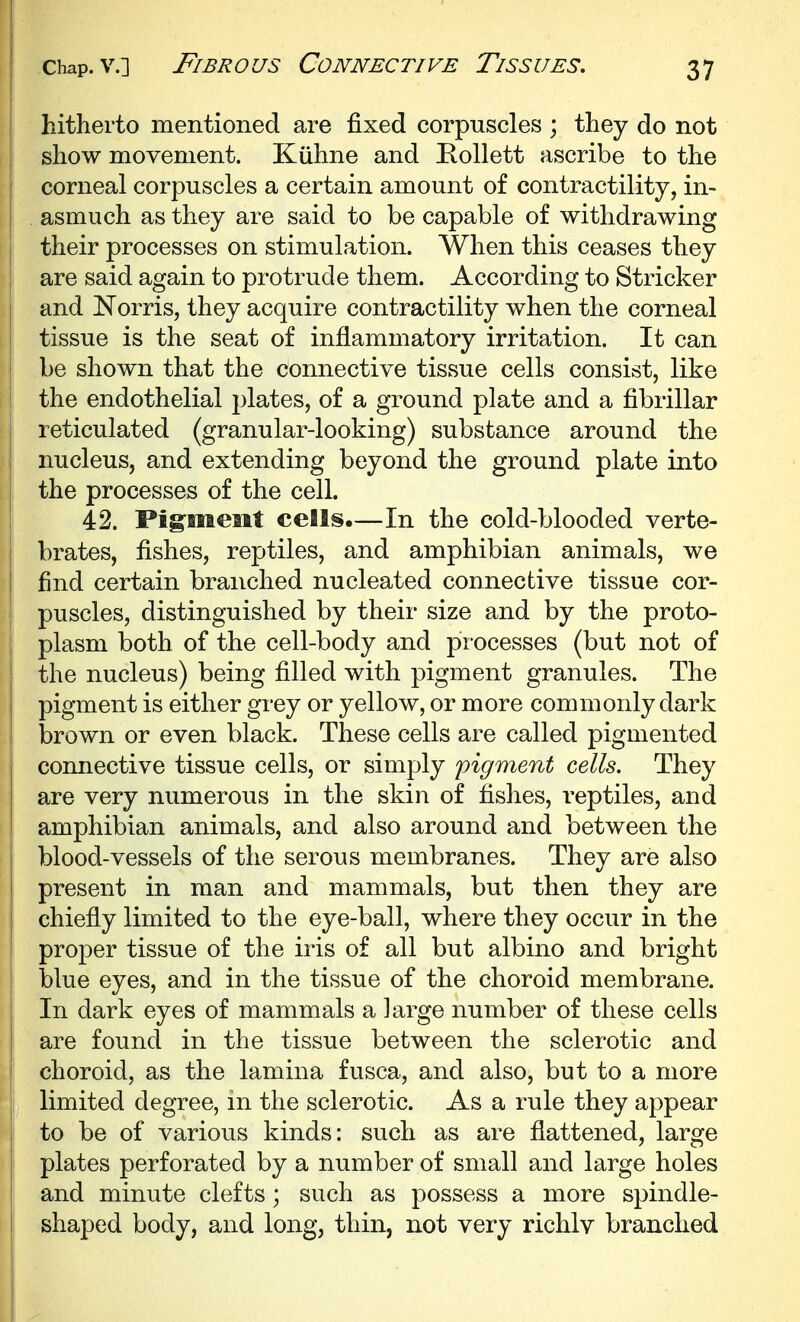 hitherto mentioned are fixed corpuscles ; they do not show movement. Kiihne and Rollett ascribe to the corneal corpuscles a certain amount of contractility, in- asmuch as they are said to be capable of withdrawing their processes on stimulation. When this ceases they are said again to protrude them. According to Strieker I and Norris, they acquire contractility when the corneal tissue is the seat of inflammatory irritation. It can i be shown that the connective tissue cells consist, like the endothelial plates, of a ground plate and a fibrillar j reticulated (granular-looking) substance around the I nucleus, and extending beyond the ground plate into j the processes of the cell. 42. Pigment ceUs.—In the cold-blooded verte- brates, fishes, reptiles, and amphibian animals, we I find certain branched nucleated connective tissue cor- puscles, distinguished by their size and by the proto- ; plasm both of the cell-body and processes (but not of I the nucleus) being filled with pigment granules. The j pigment is either grey or yellow, or more commonly dark 1 brown or even black. These cells are called pigmented I connective tissue cells, or simply 'pigment cells. They ! are very numerous in the skin of fishes, reptiles, and ! amphibian animals, and also around and between the blood-vessels of the serous membranes. They are also I present in man and mammals, but then they are ! chiefly limited to the eye-ball, where they occur in the proper tissue of the iris of all but albino and bright blue eyes, and in the tissue of the choroid membrane. In dark eyes of mammals a large number of these cells are found in the tissue between the sclerotic and [ choroid, as the lamina fusca, and also, but to a more [ limited degree, m the sclerotic. As a rule they appear to be of various kinds: such as are flattened, large plates perforated by a number of small and large holes and minute clefts; such as possess a more spindle- shaped body, and long, thin, not very richlv branched