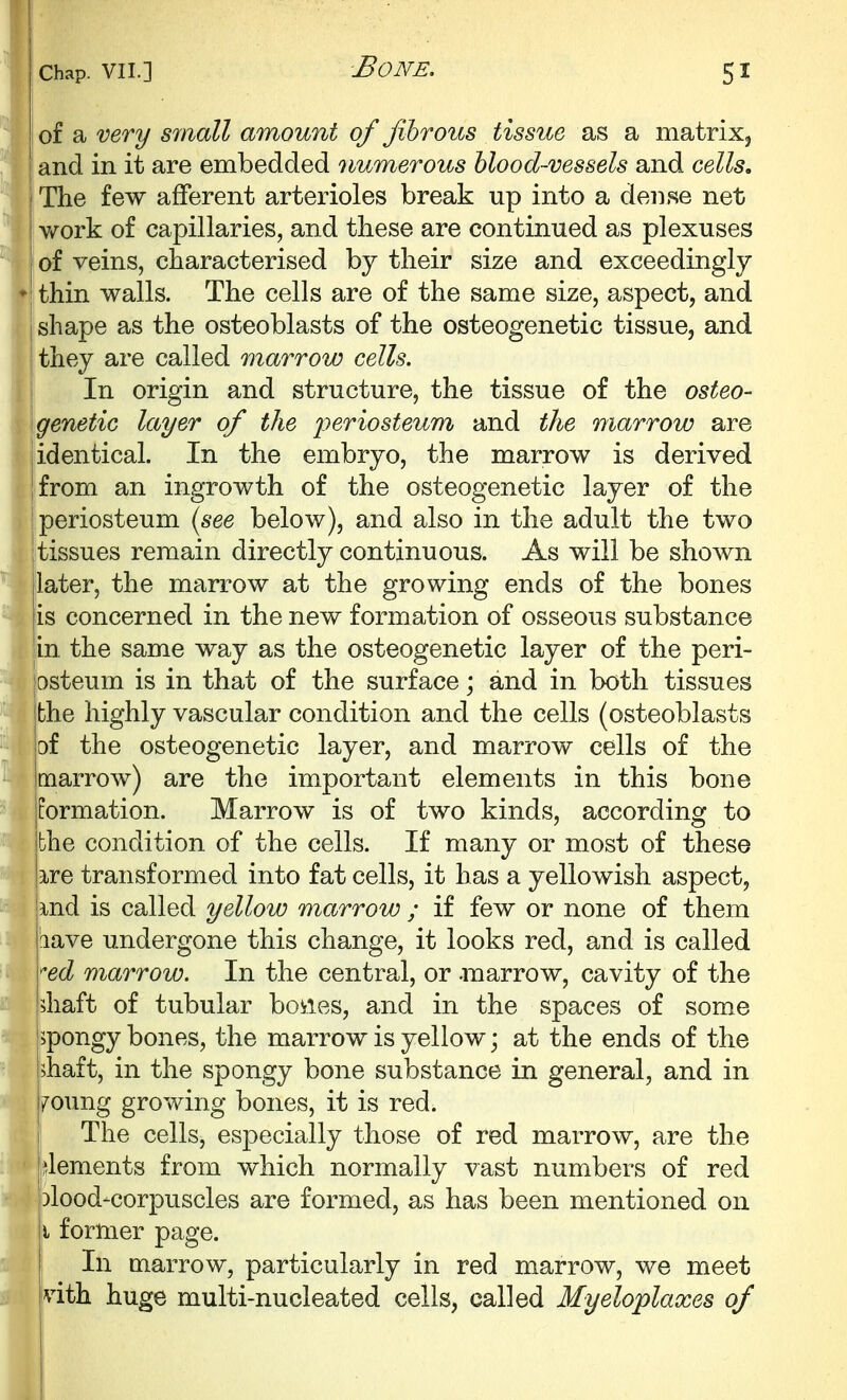 of a very small amount of fibrous tissue as a matrix, I and in it are embedded numerous blood-vessels and cells. The few afferent arterioles break up into a dense net v/ork of capillaries, and these are continued as plexuses of veins, characterised by their size and exceedingly ♦ thin walls. The cells are of the same size, aspect, and shape as the osteoblasts of the osteogenetic tissue, and they are called marrow cells. In origin and structure, the tissue of the osteo- genetic layer of the i:>eriosteum and the marrow are i identical. In the embryo, the marrow is derived [from an ingrowth of the osteogenetic layer of the [periosteum (see below), and also in the adult the two tissues remain directly continuous. As will be shown later, the marrow at the growing ends of the bones is concerned in the new formation of osseous substance in the same way as the osteogenetic layer of the peri- osteum is in that of the surface; and in both tissues ibhe highly vascular condition and the cells (osteoblasts iof the osteogenetic layer, and marrow cells of the Imarrow) are the important elements in this bone jEormation. Marrow is of two kinds, according to ibhe condition of the cells. If many or most of these [ire transformed into fat cells, it has a yellowish aspect, ;md is called yellow marrow ; if few or none of them I'lave undergone this change, it looks red, and is called Yed marrow. In the central, or -marrow, cavity of the ?haft of tubular bodies, and in the spaces of some spongy bones, the marrow is yellow; at the ends of the shaft, in the spongy bone substance in general, and in 70ung growing bones, it is red. The cells, especially those of red marrow, are the dements from which normally vast numbers of red 3lood-corpuscles are formed, as has been mentioned on I former page. In marrow, particularly in red marrow, we meet \dth huge multi-nucleated cells, called Myeloplaxes of