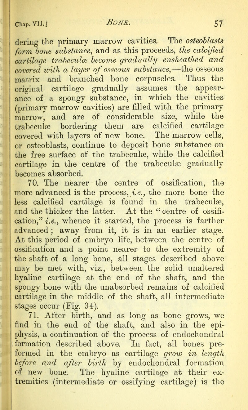 dering the primary marrow cavities. The osteoblasts form hone substance, and as this proceeds, the calcified cartilage traheculce become gradually ensheathed and covered with a layer of osseous substance,—the osseous matrix and branched bone corpuscles. Thus the i original cartilage gradually assumes the appear- ance of a spongy substance, in which the cavities (primary marrow cavities) are filled with the primary marrow, and are of considerable size, while the trabeculse bordering them are calcified cartilage covered with layers of new bone. The marrow cells, or osteoblasts, continue to deposit bone substance on the free surface of the trabeculse, while the calcified cartilage in the centre of the trabeculse gradually becomes absorbed. 70. The nearer the centre of ossification, the more advanced is the process, 6., the more bone the i less calcified cartilage is found in the trabeculse, I and the thicker the latter. At the  centre of ossifi- j cation, i.e., whence it started, the process is farther I advanced; away from it, it is in an earlier stage. At this period of embryo life, between the centre of ossification and a point nearer to the extremity of the shaft of a long bone, all stages described above i may be met with, viz., between the solid unaltered ; hyaline cartilage at the end of the shaft, and the spongy bone with the un absorbed remains of calcified cartilage in the middle of the shaft, all intermediate stages occur (Fig. 34). 71. After birth, and as long as bone grows, we find in the end of the shaft, and also in the epi- physis, a continuation of the process of endochondral [ formation described above. In fact, all bones pre- formed in the embryo as cartilage grow in length before and after birth by endochondral formation of new bone. The hyaline cartilage at their ex= tremities (intermediate or ossifying cartilage) is the